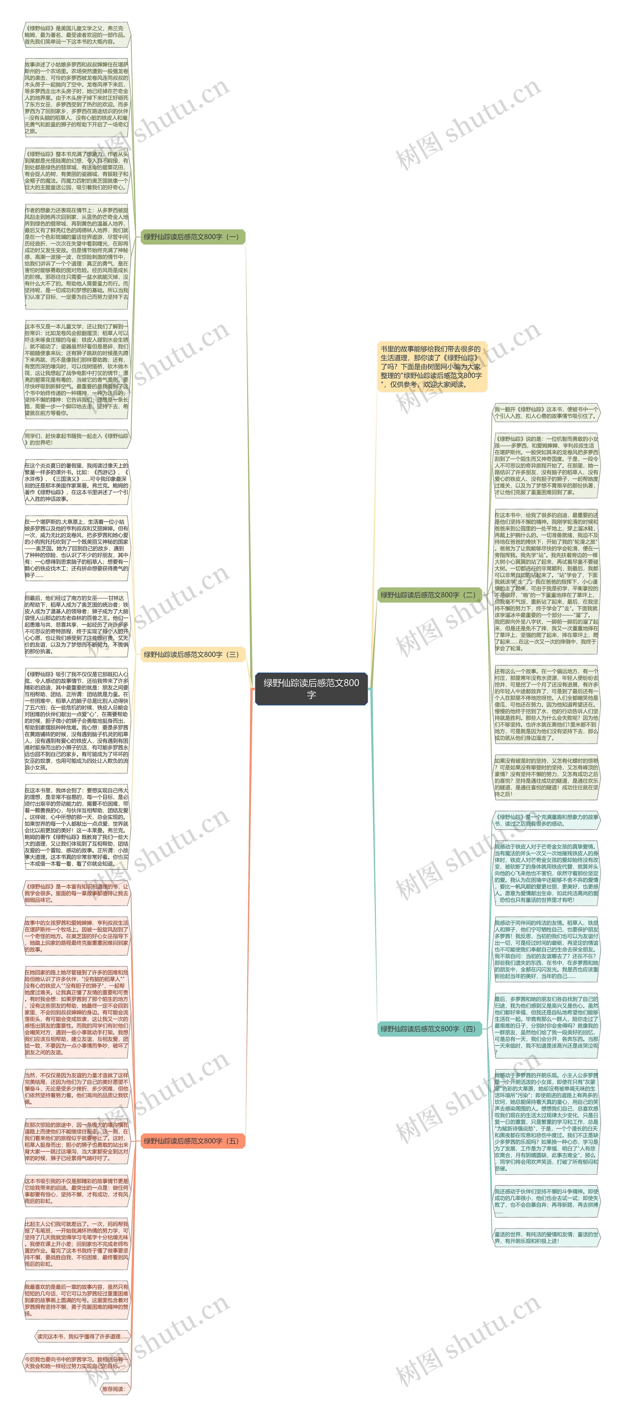 绿野仙踪读后感范文800字思维导图