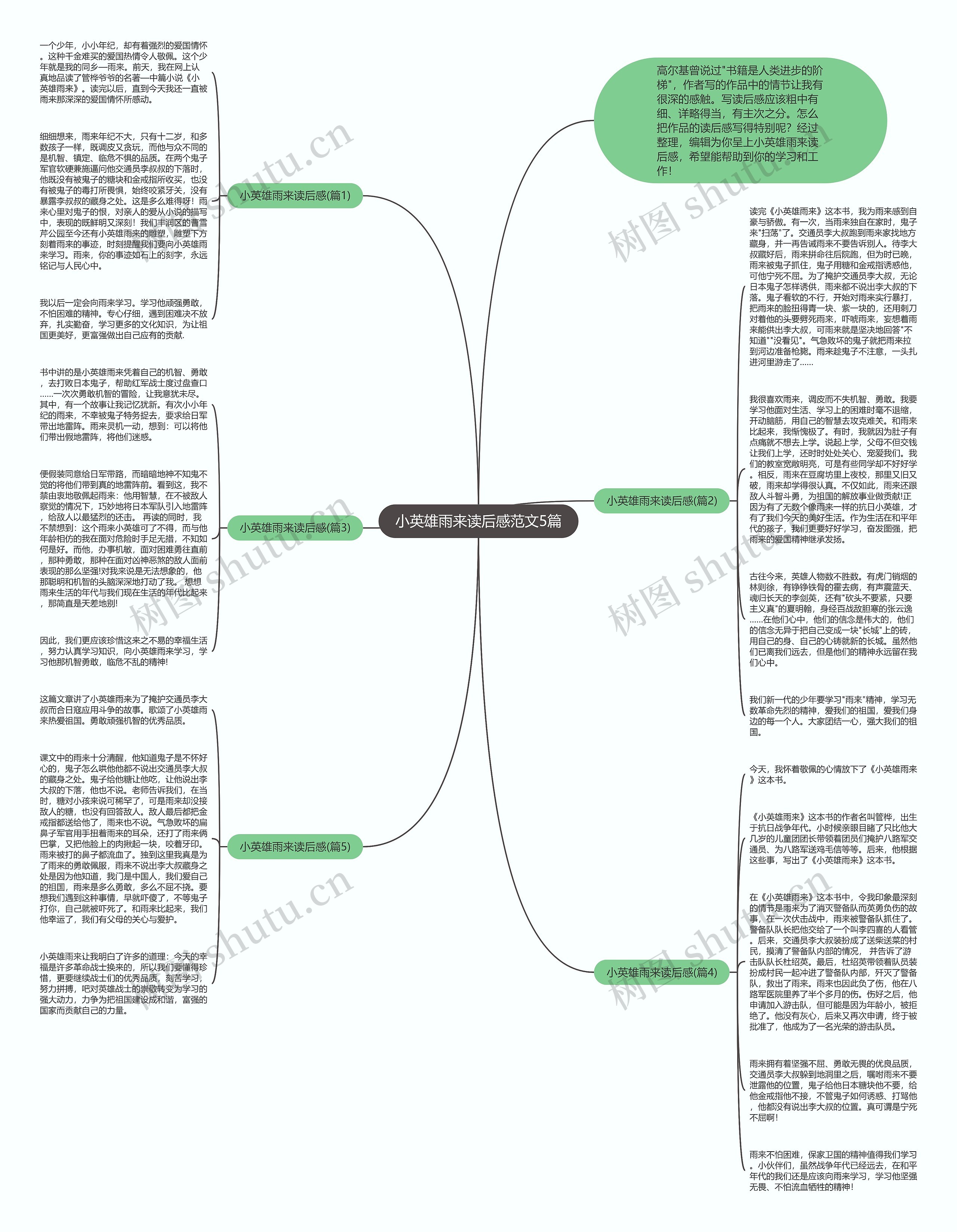 小英雄雨来读后感范文5篇思维导图