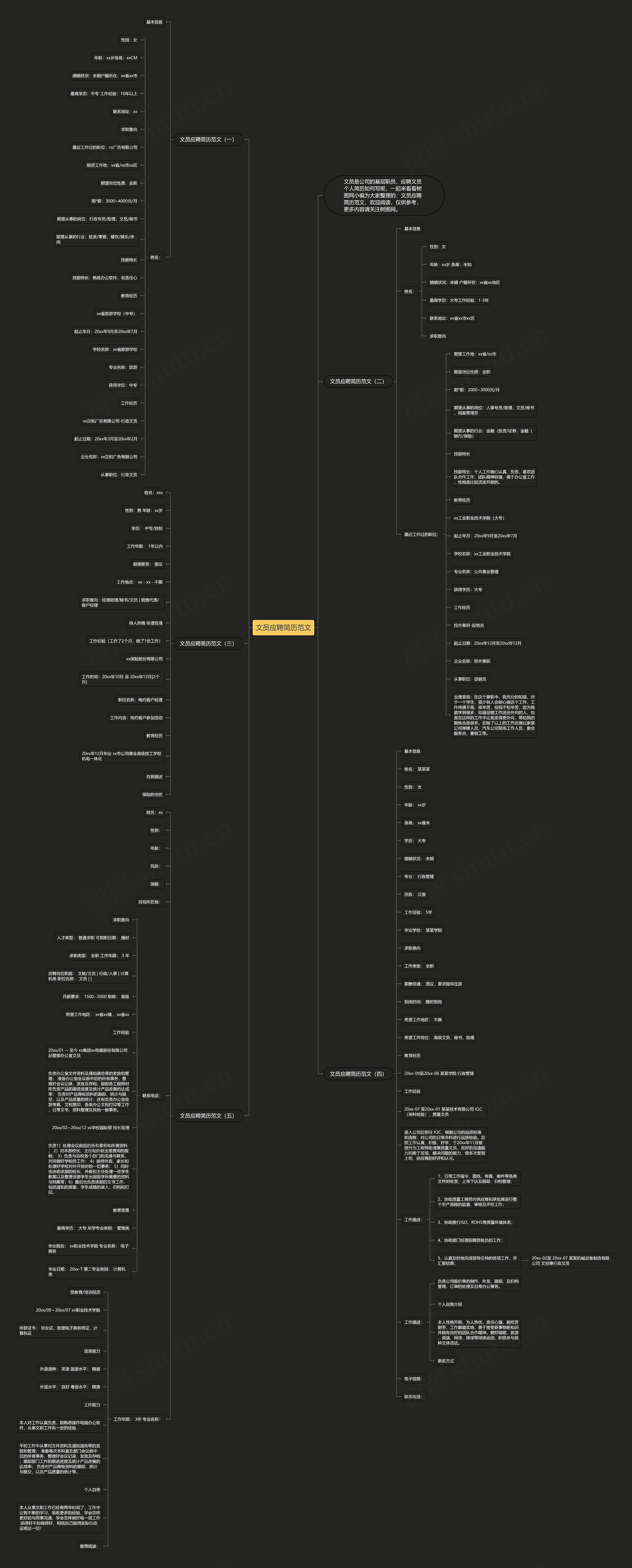 文员应聘简历范文思维导图