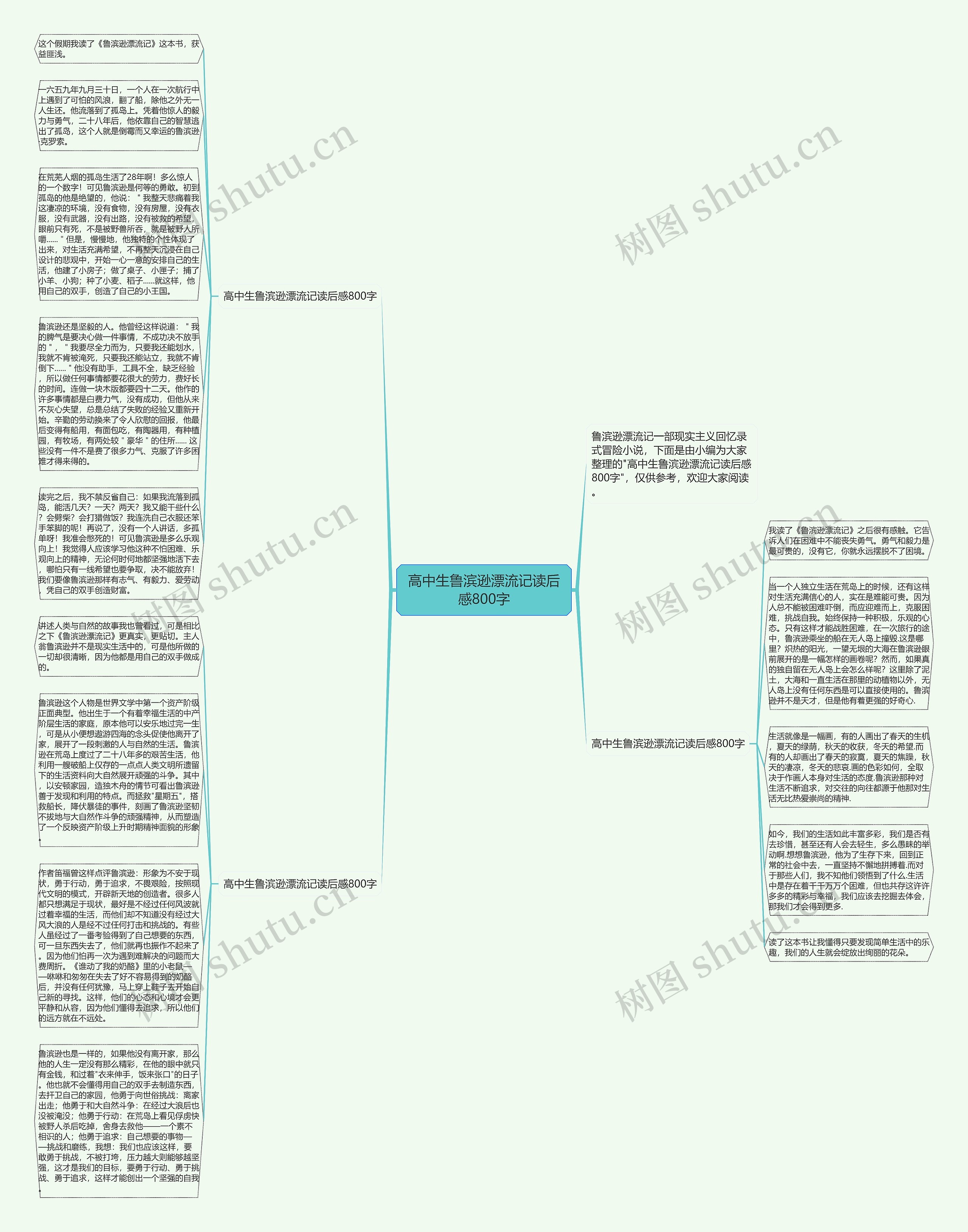 高中生鲁滨逊漂流记读后感800字思维导图