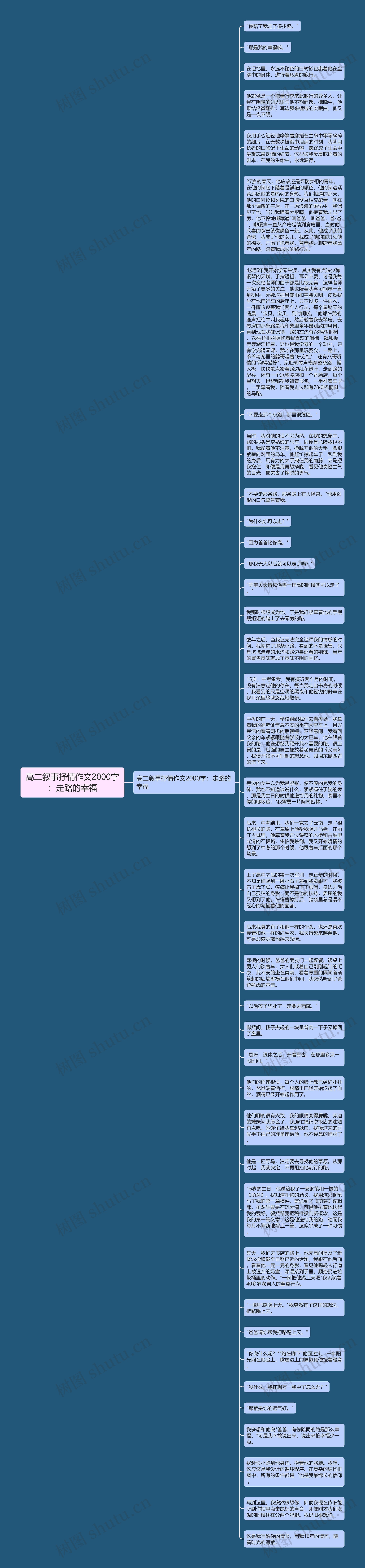 高二叙事抒情作文2000字：走路的幸福思维导图