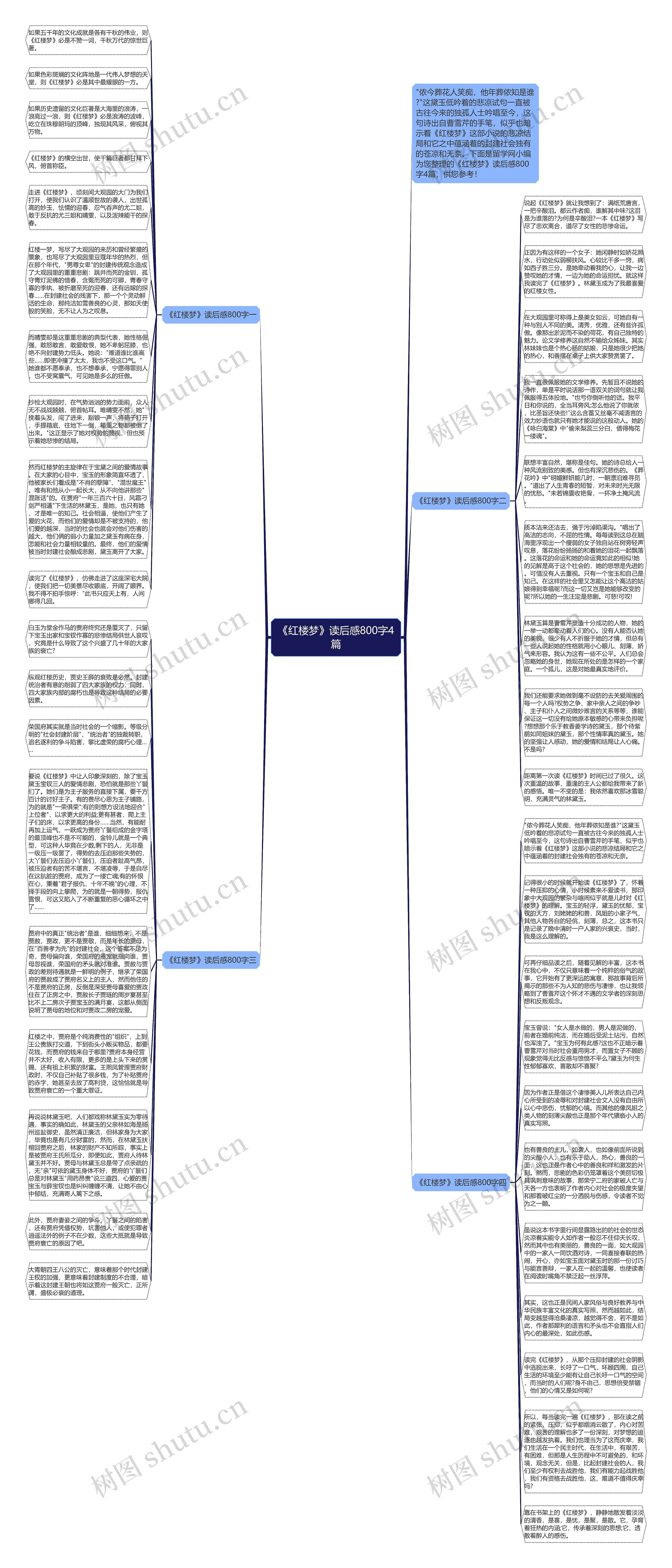 《红楼梦》读后感800字4篇思维导图