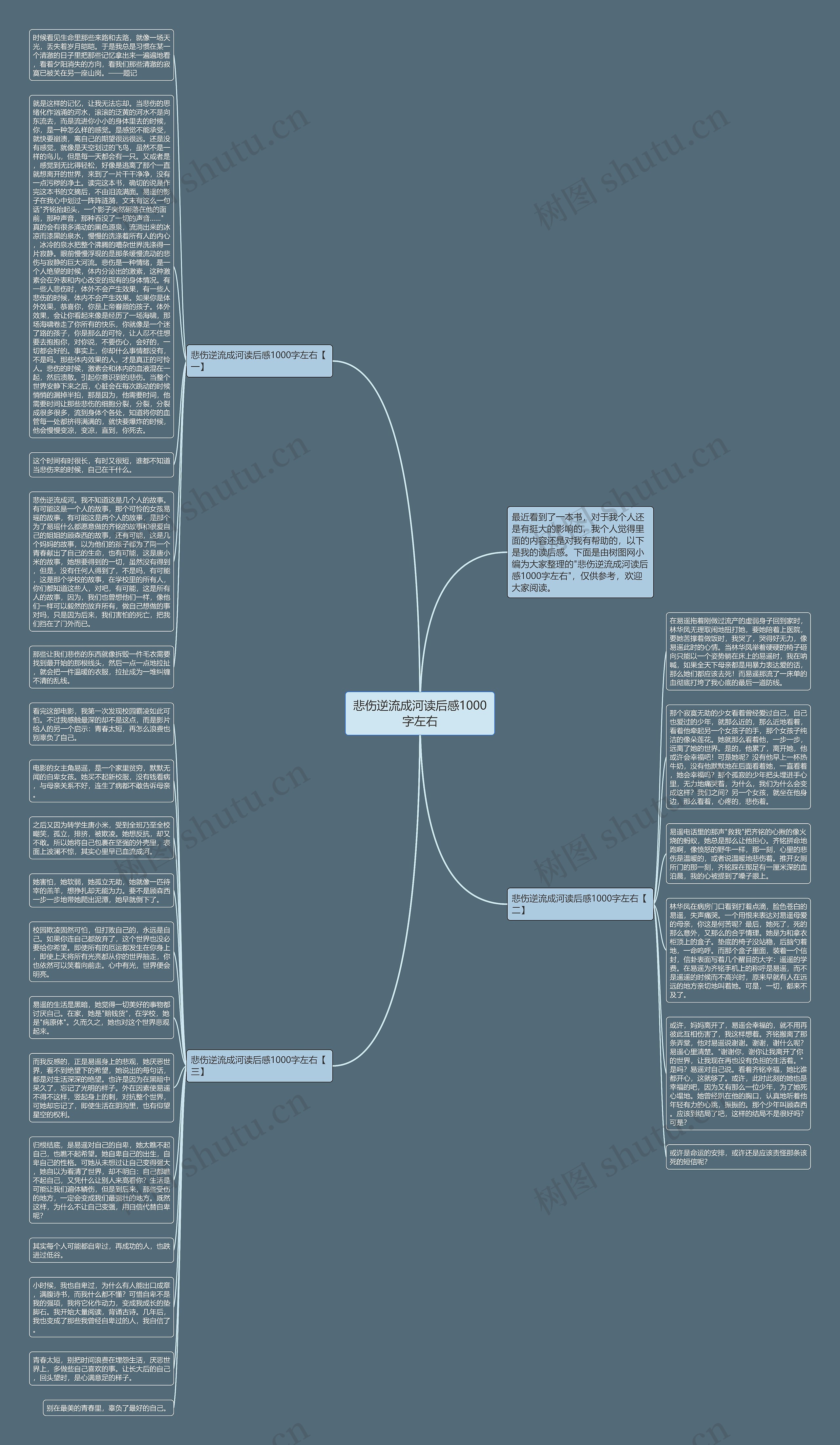 悲伤逆流成河读后感1000字左右思维导图