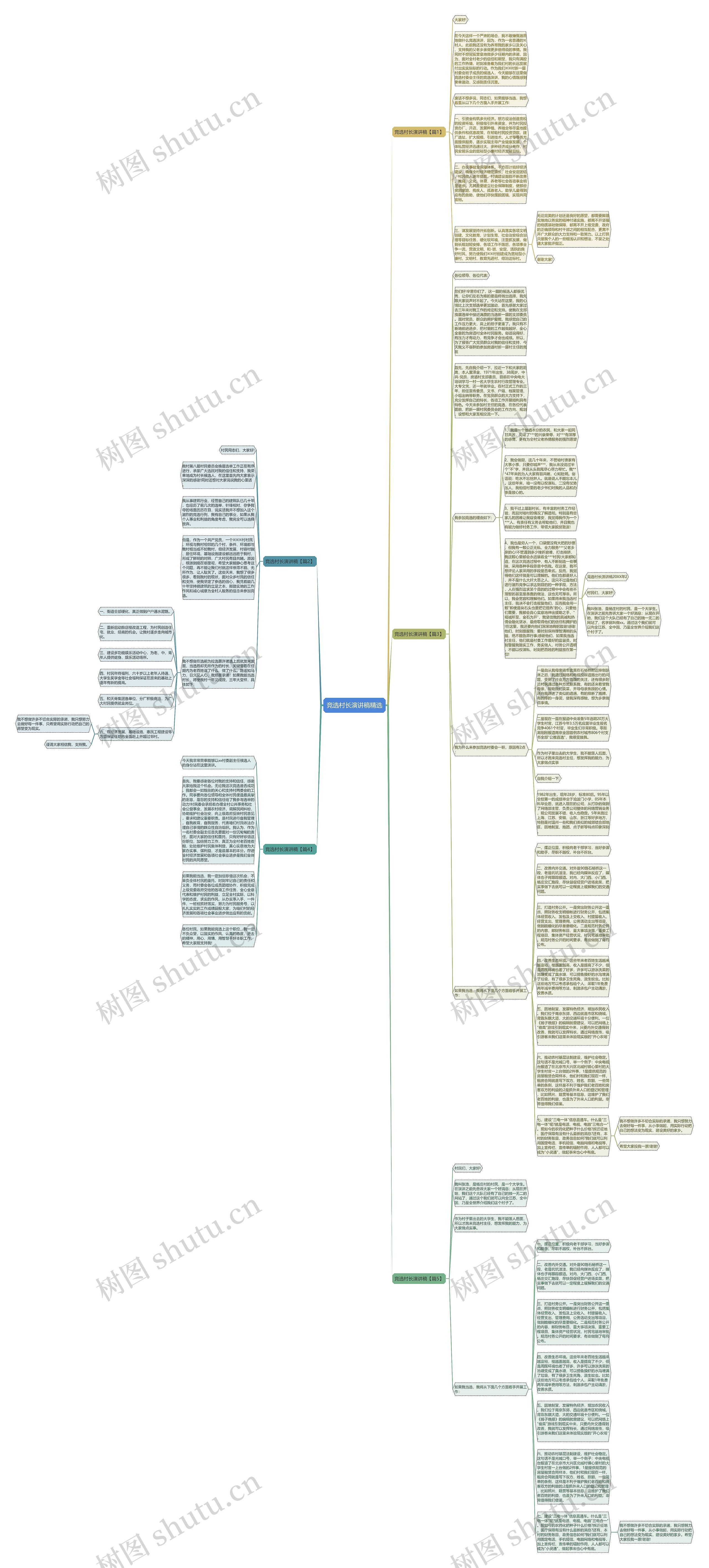 竞选村长演讲稿精选思维导图