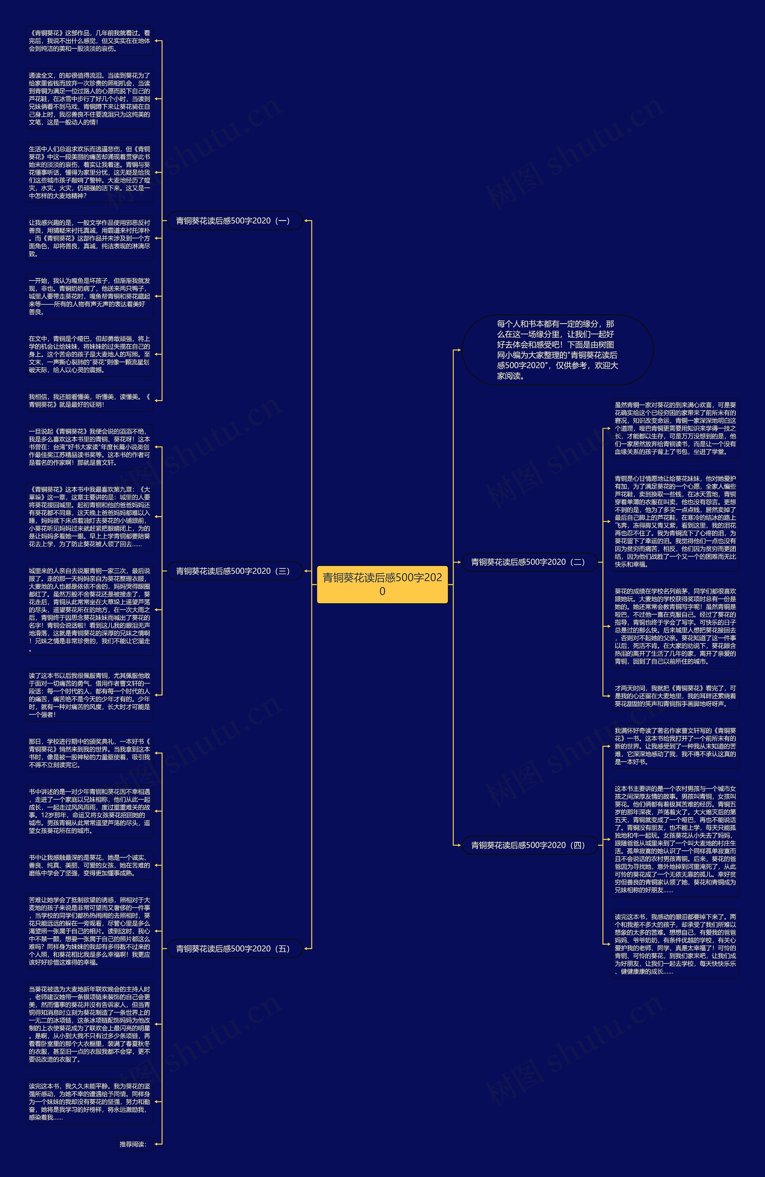 青铜葵花读后感500字2020思维导图