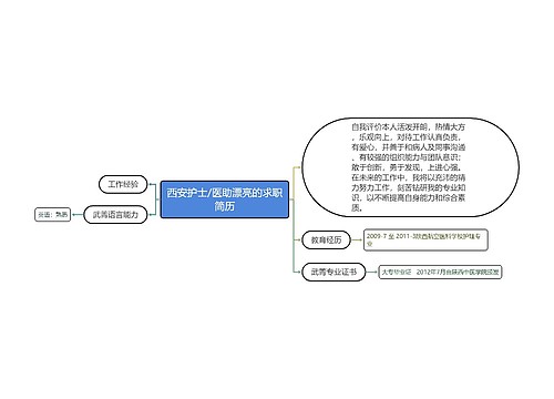 西安护士/医助漂亮的求职简历