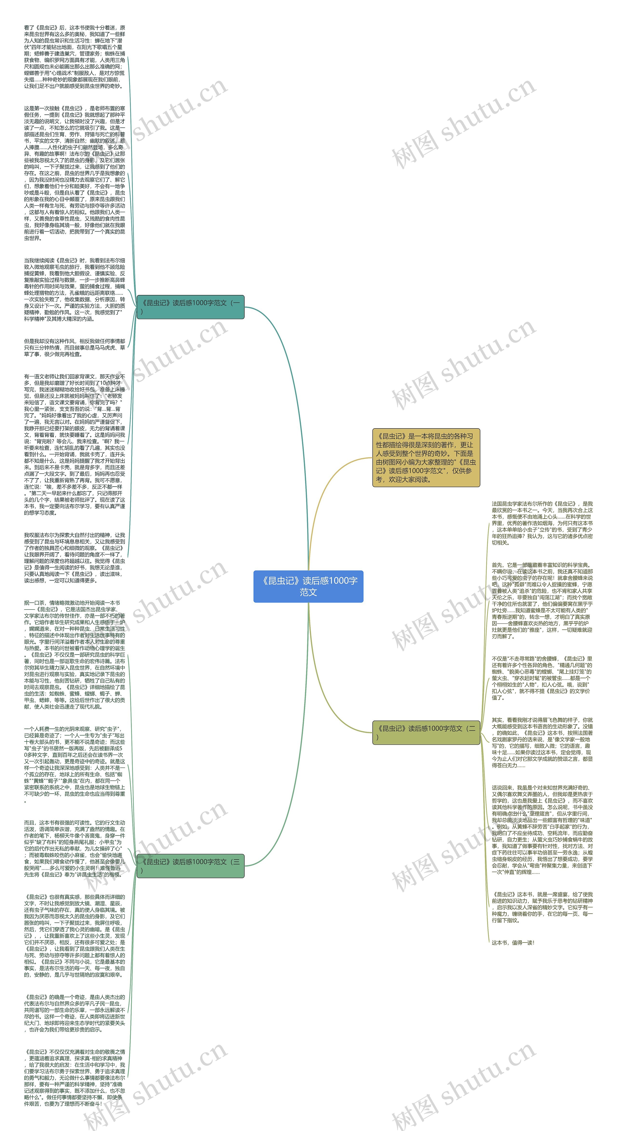 《昆虫记》读后感1000字范文思维导图