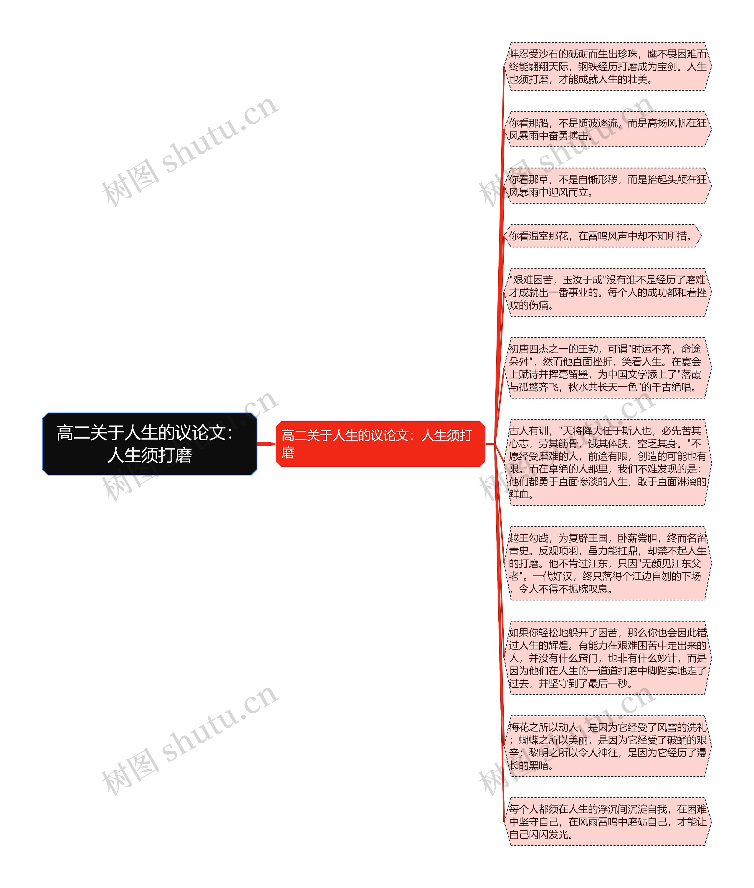 高二关于人生的议论文：人生须打磨思维导图