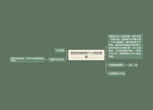 西安区域销售个人简历表格