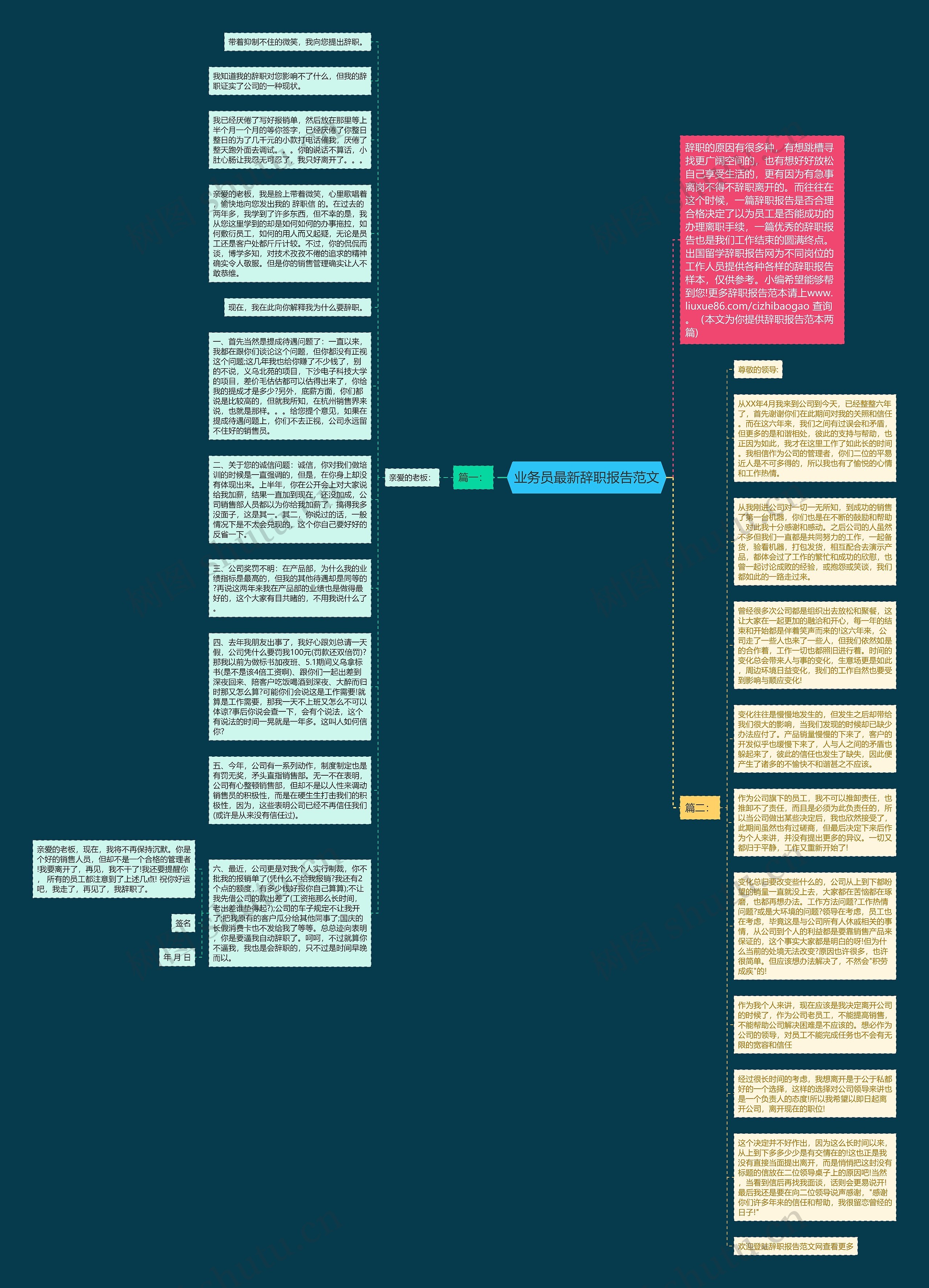 业务员最新辞职报告范文思维导图