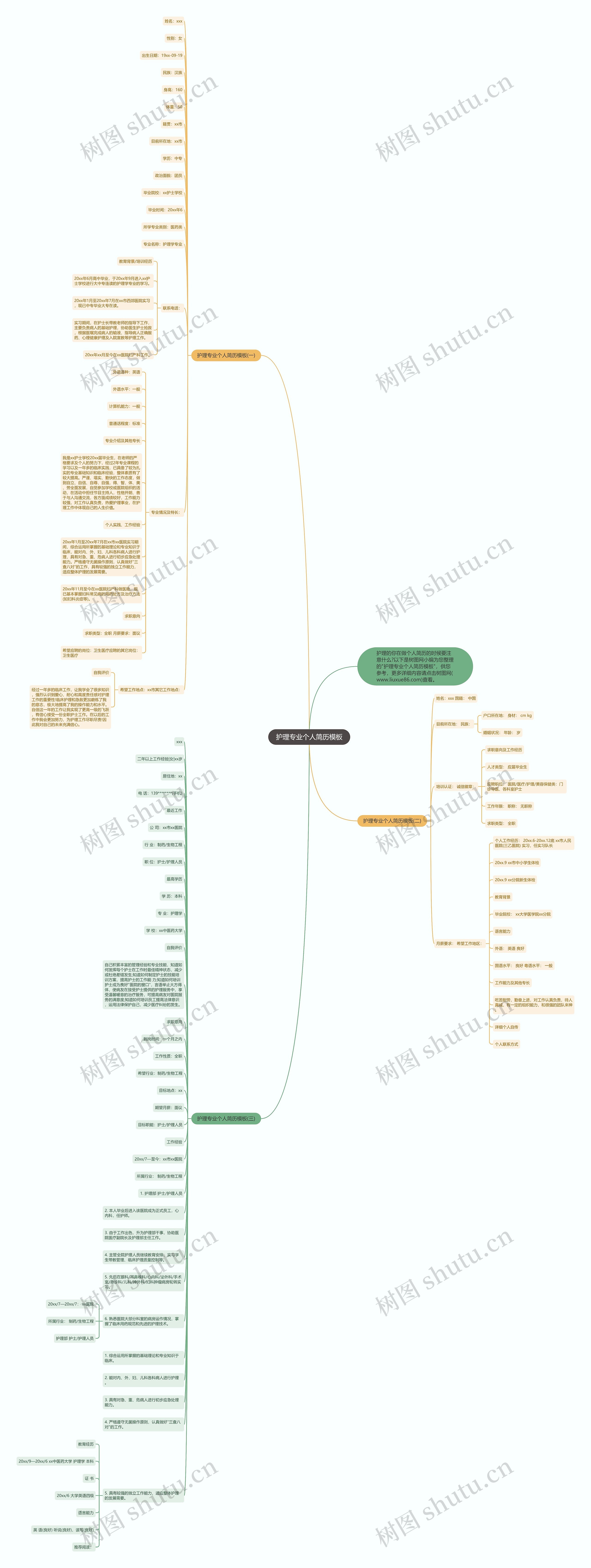 护理专业个人简历思维导图