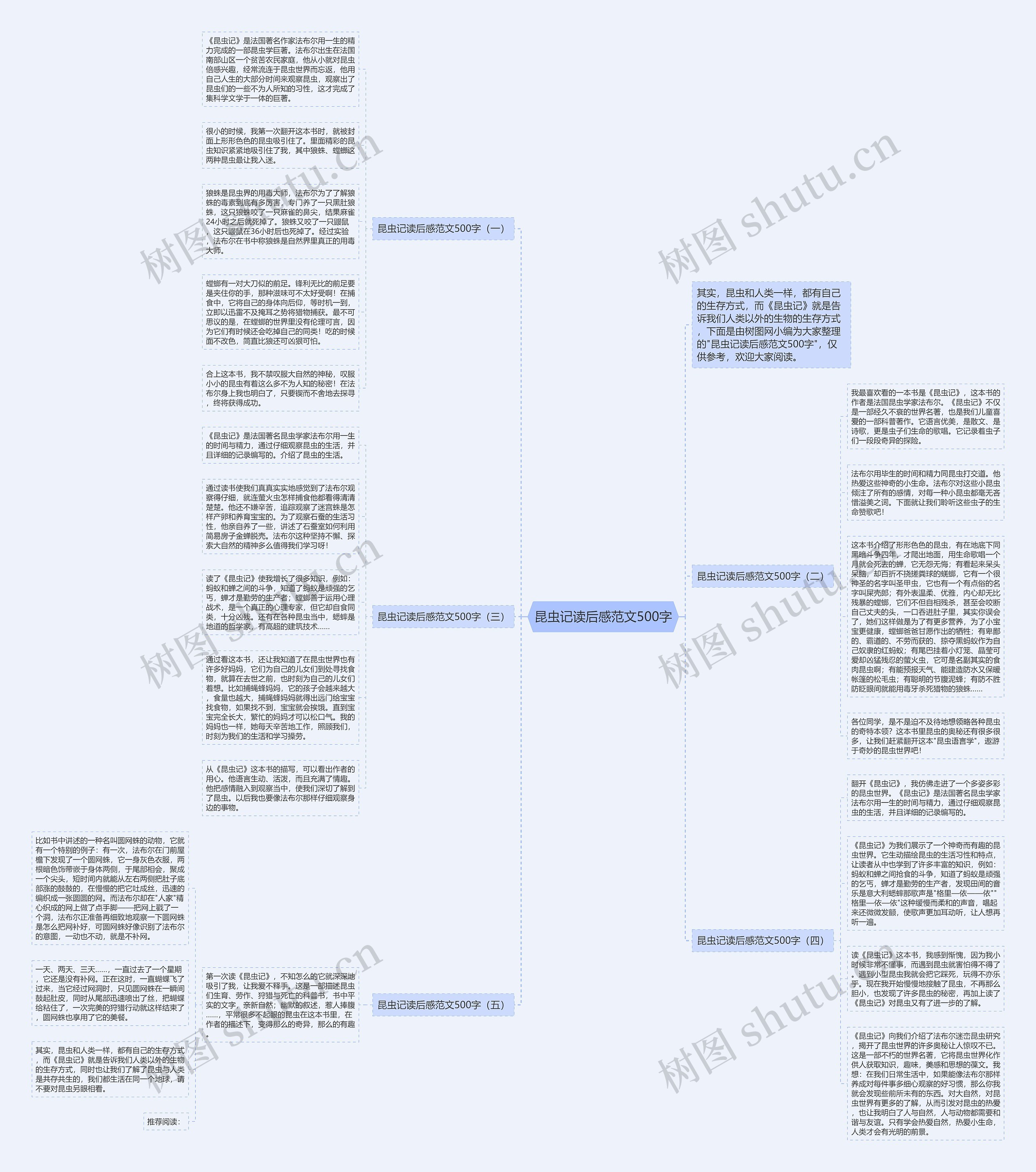 昆虫记读后感范文500字思维导图