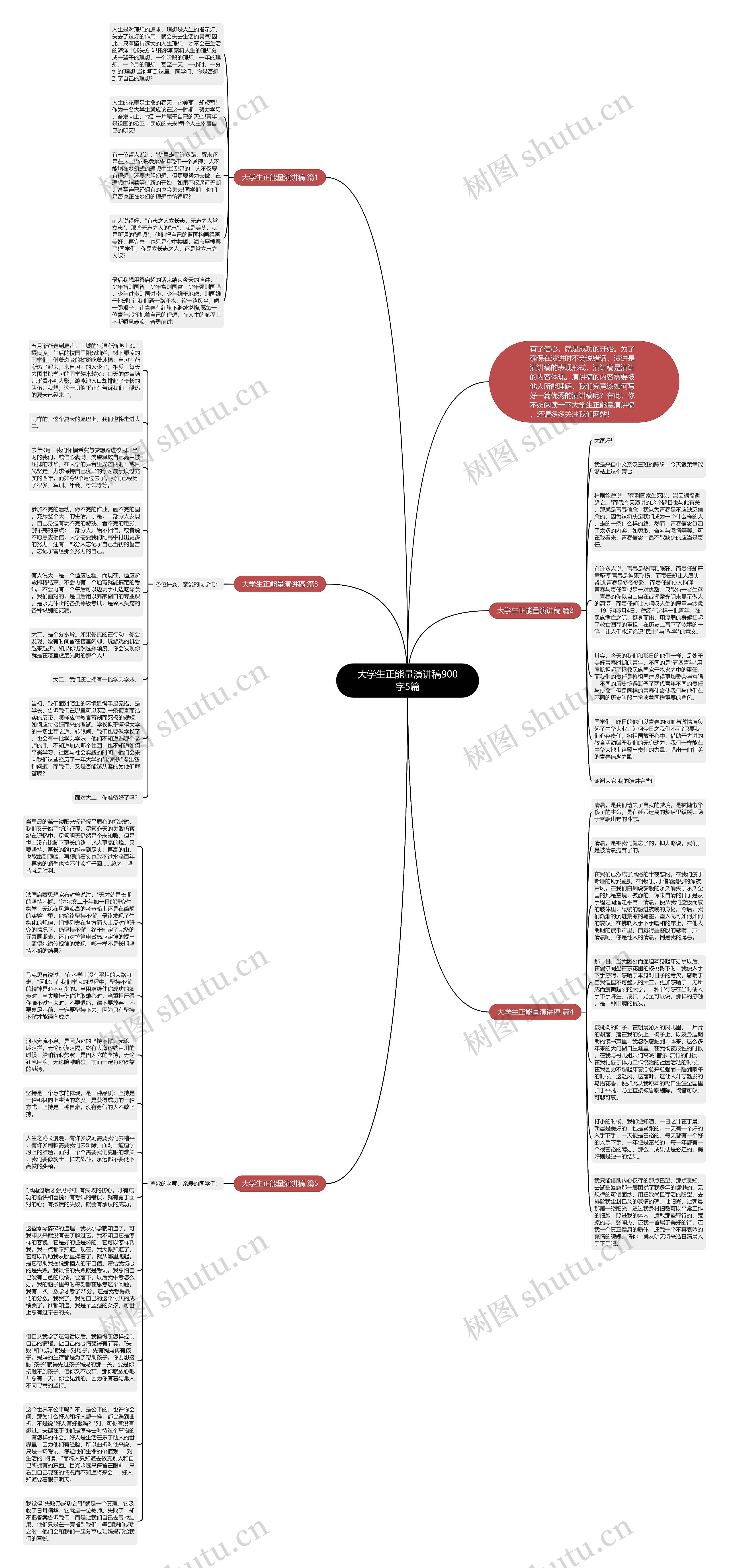 大学生正能量演讲稿900字5篇思维导图