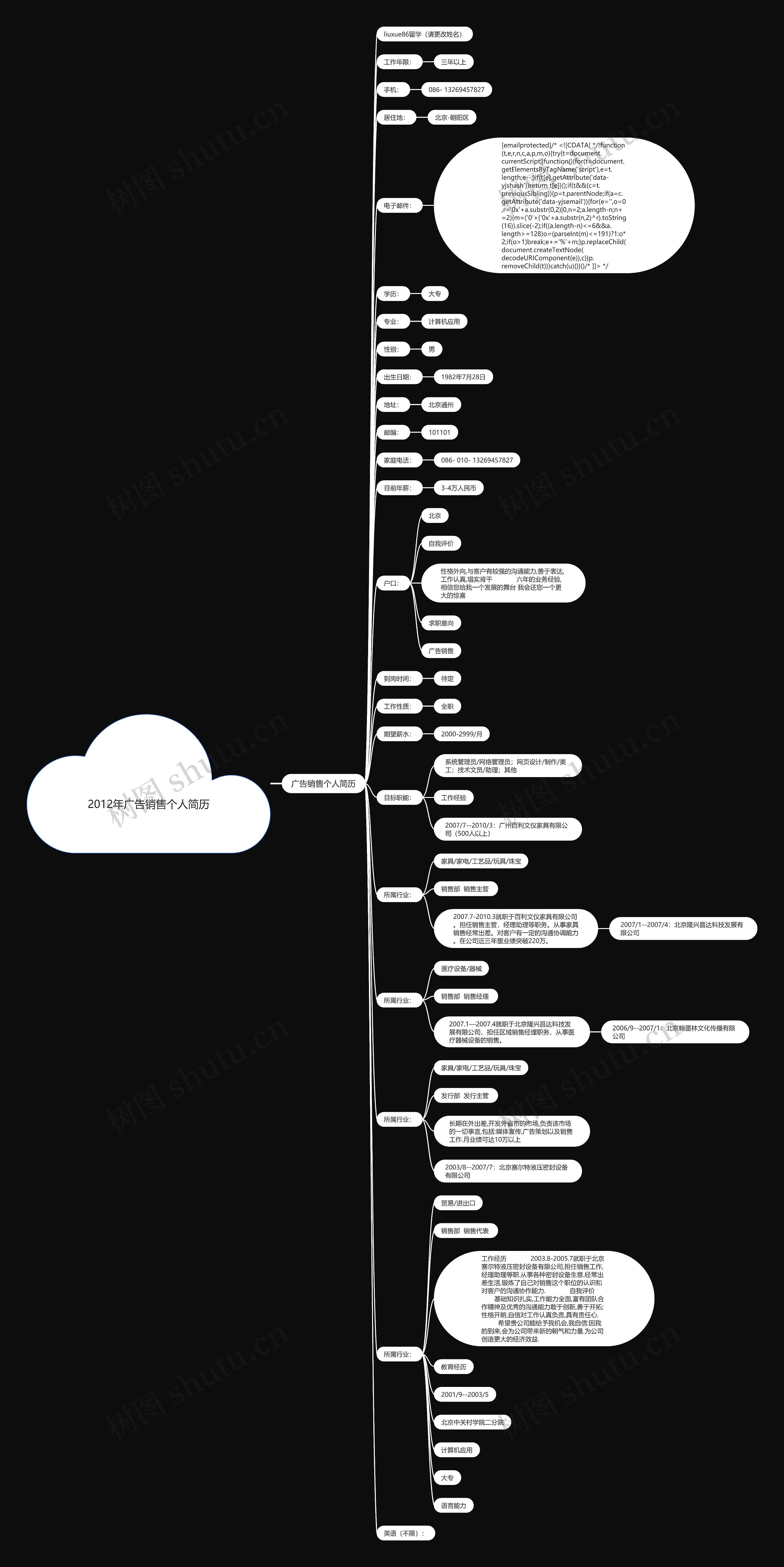 2012年广告销售个人简历思维导图