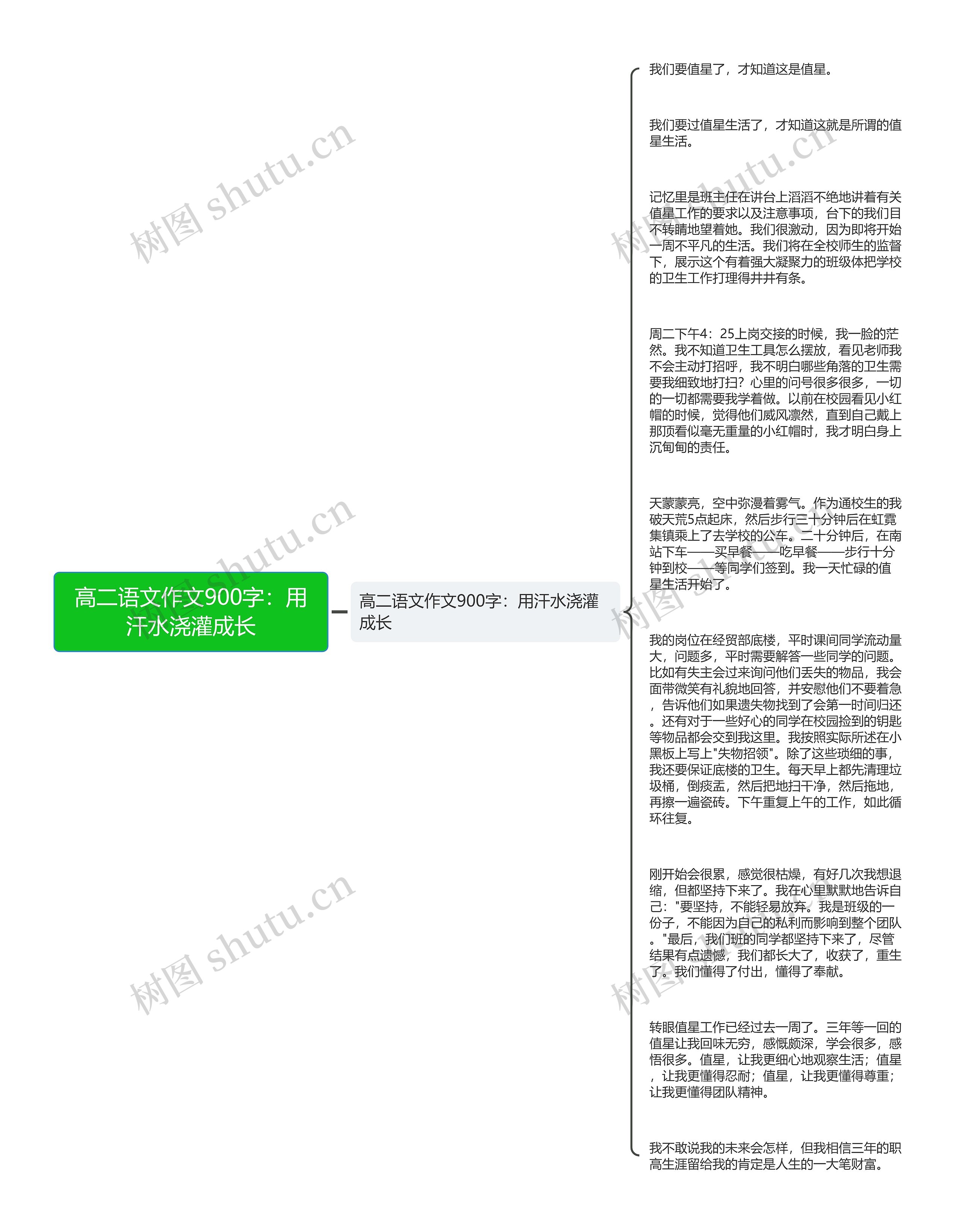 高二语文作文900字：用汗水浇灌成长思维导图