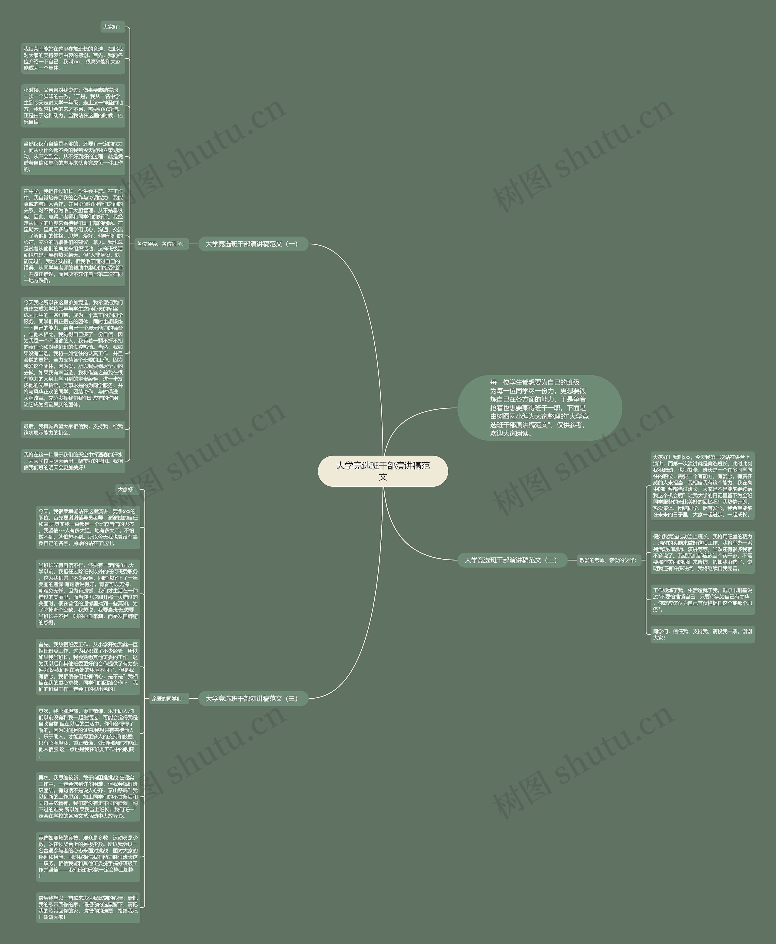 大学竞选班干部演讲稿范文思维导图