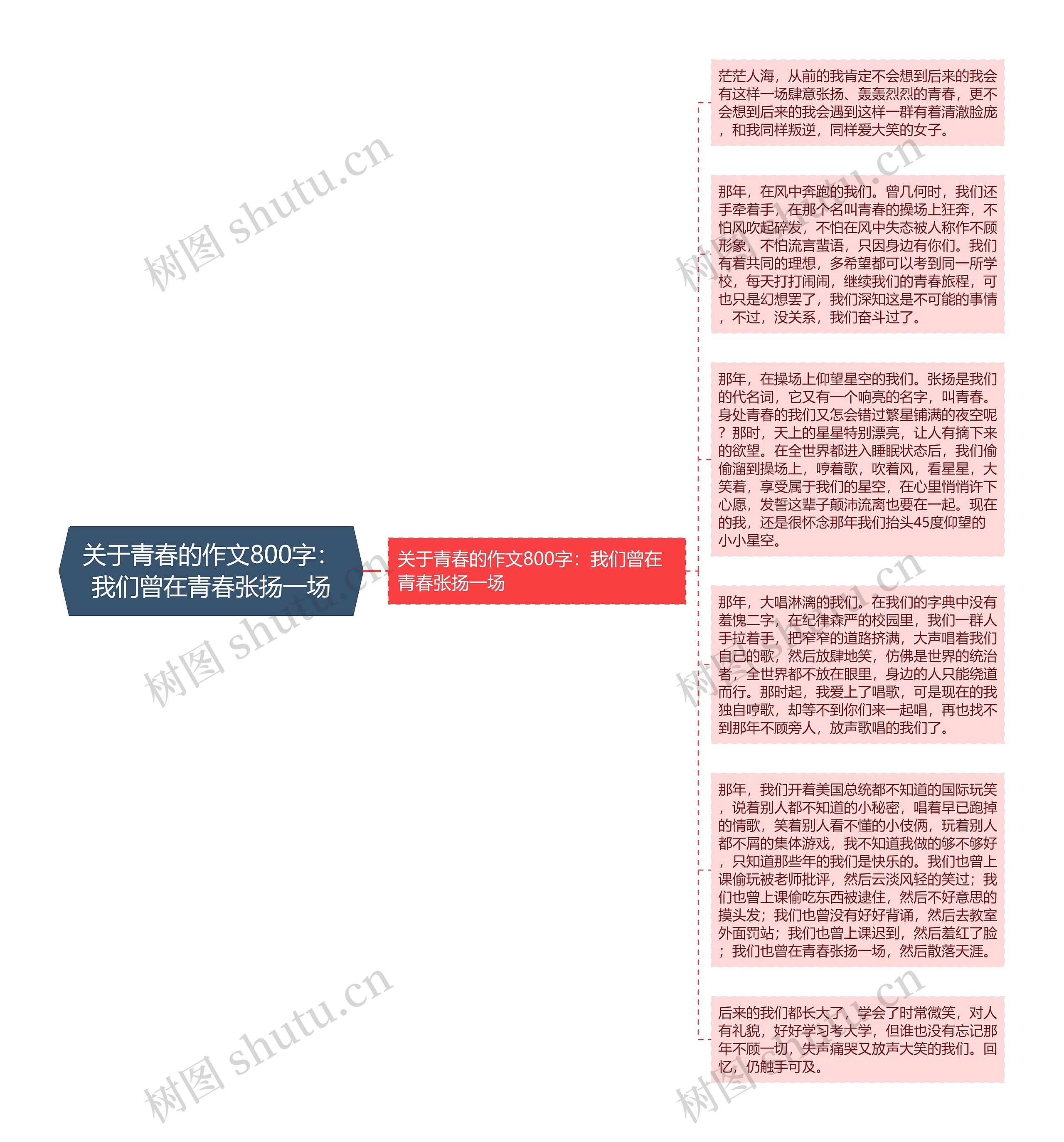 关于青春的作文800字：我们曾在青春张扬一场