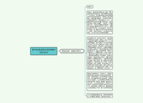 初中生竞选班长演讲稿800字2020