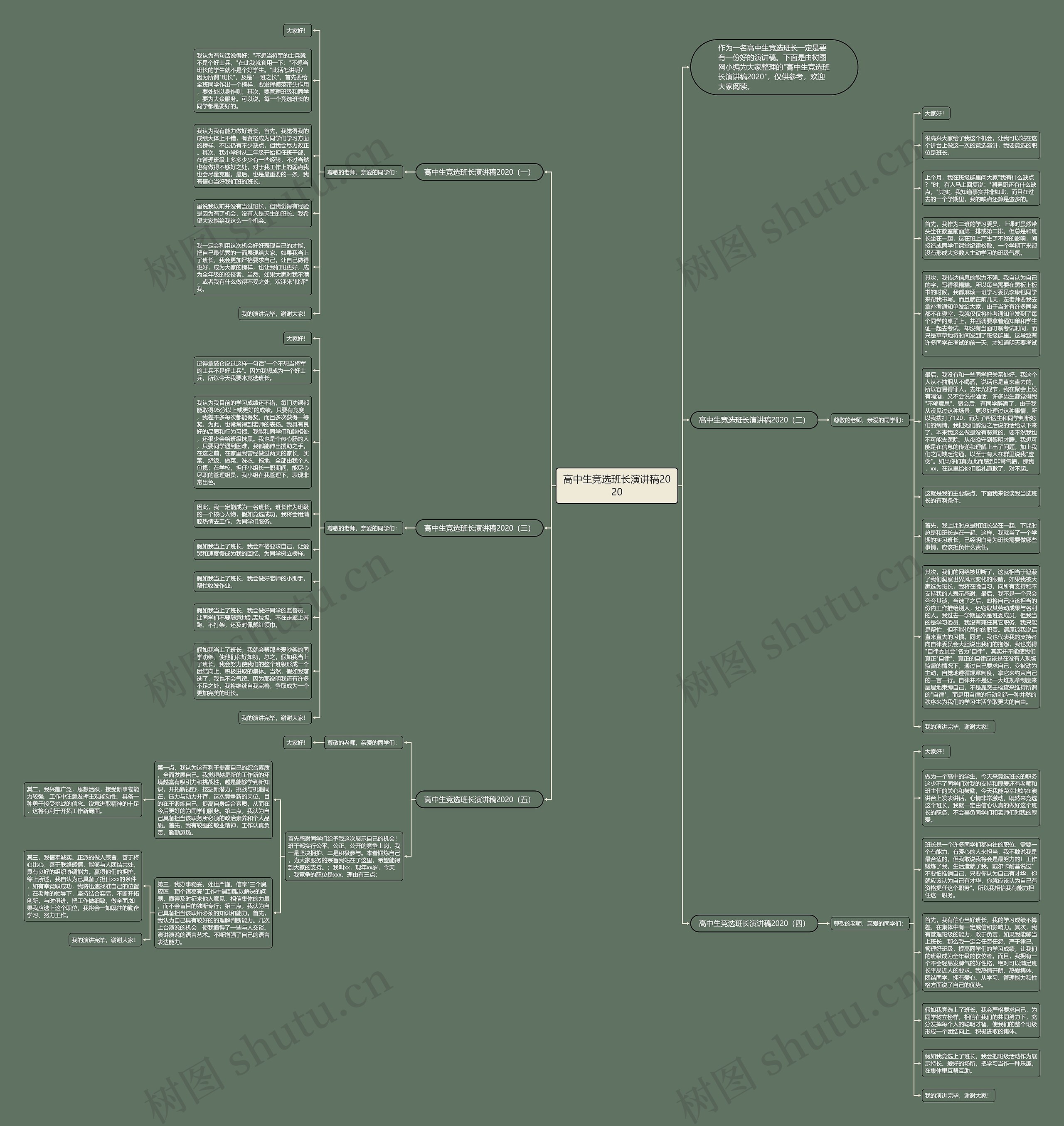 高中生竞选班长演讲稿2020思维导图