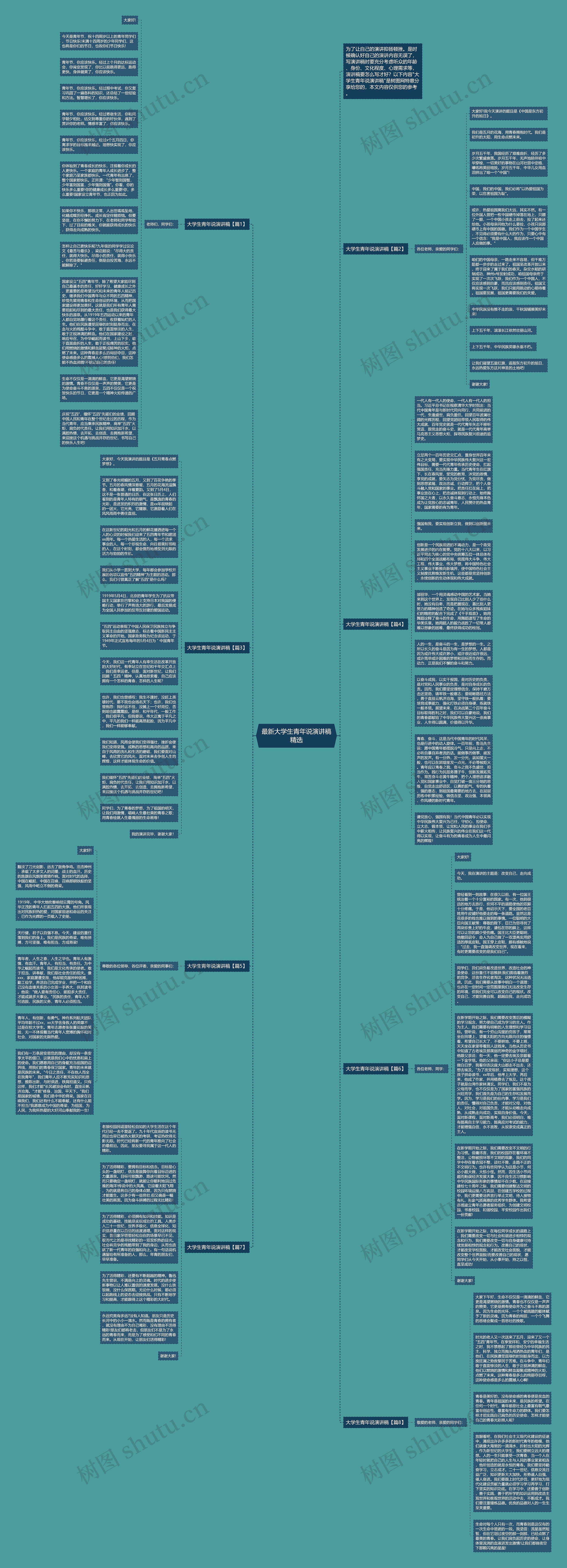 最新大学生青年说演讲稿精选思维导图