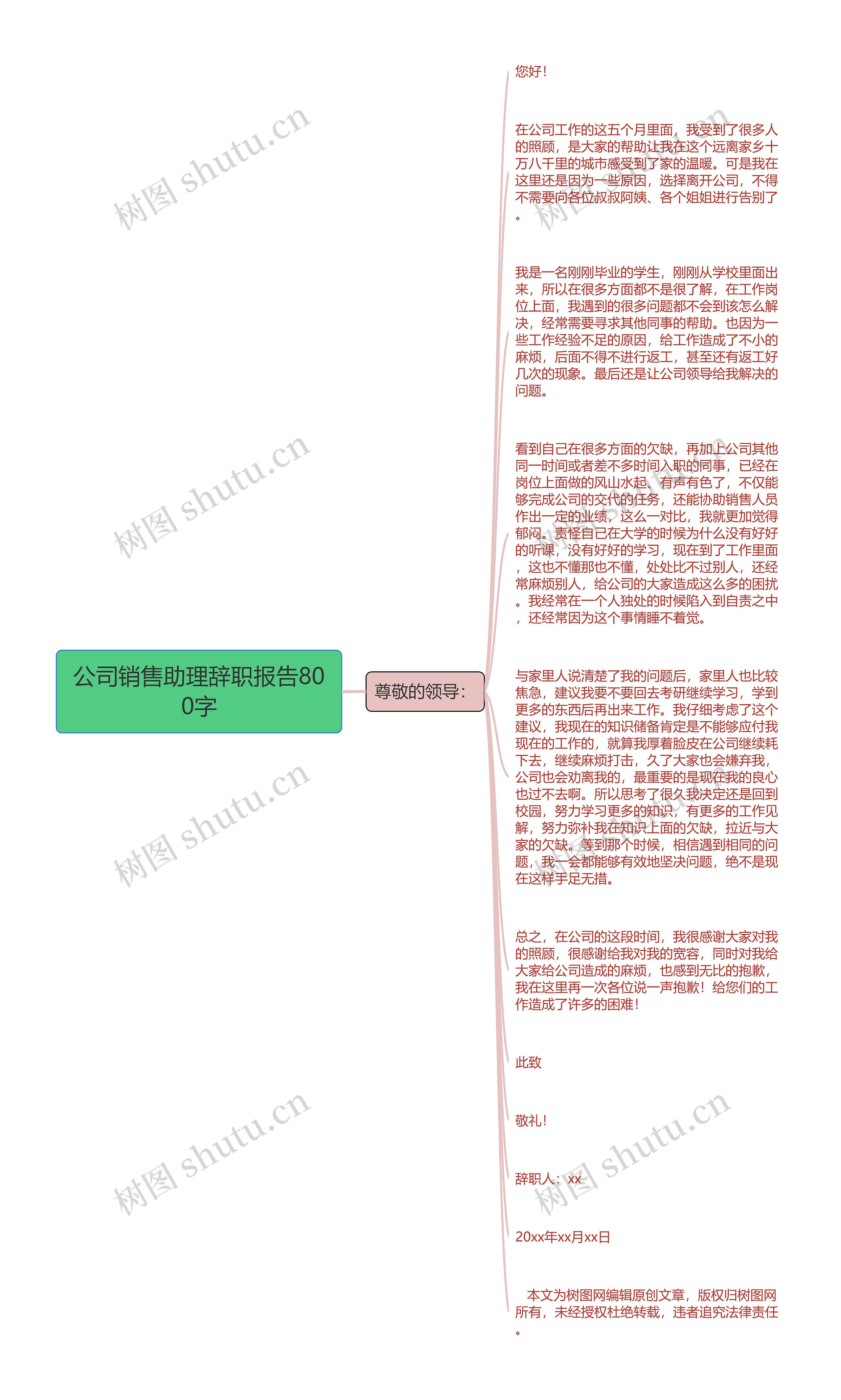 公司销售助理辞职报告800字