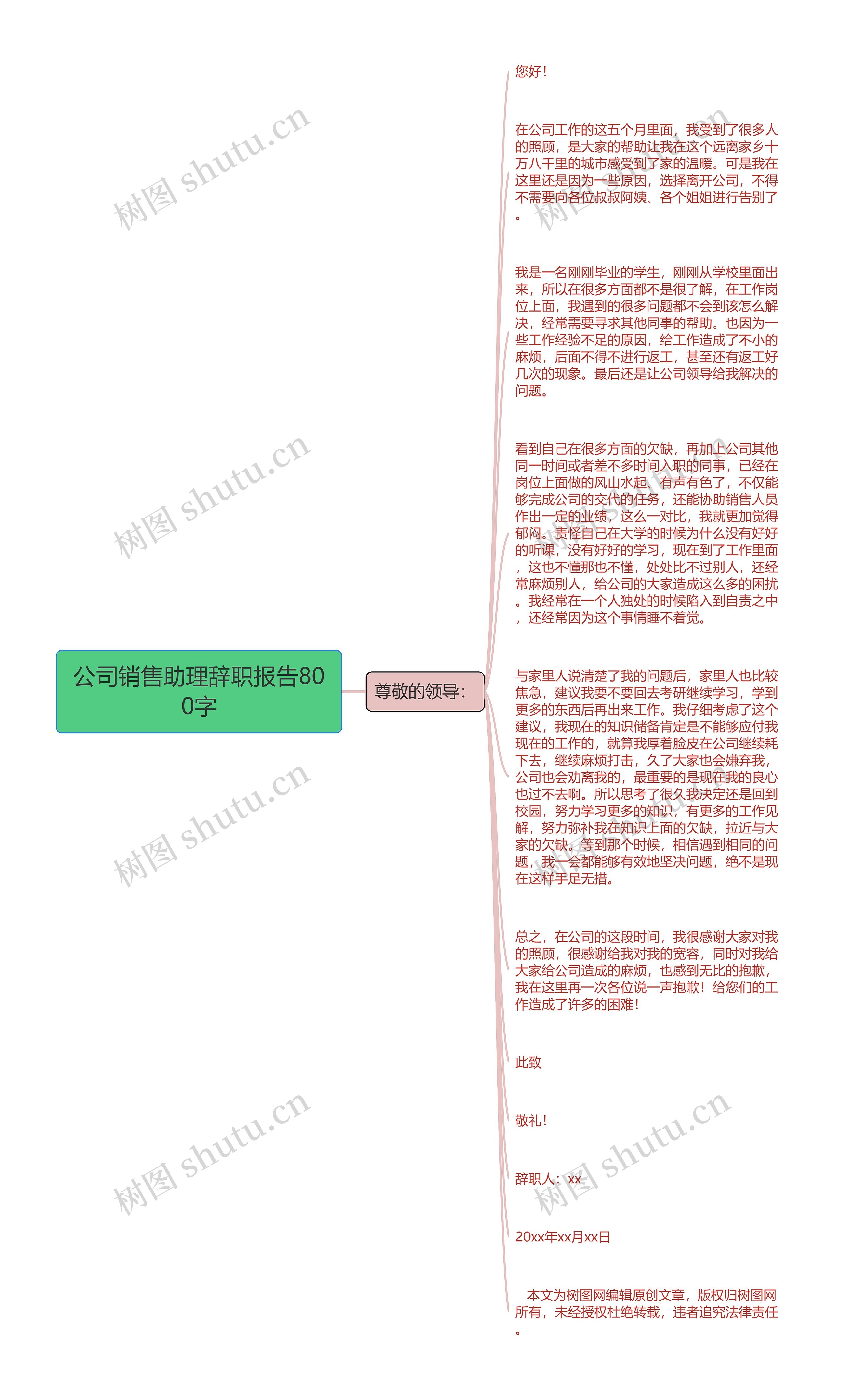 公司销售助理辞职报告800字思维导图