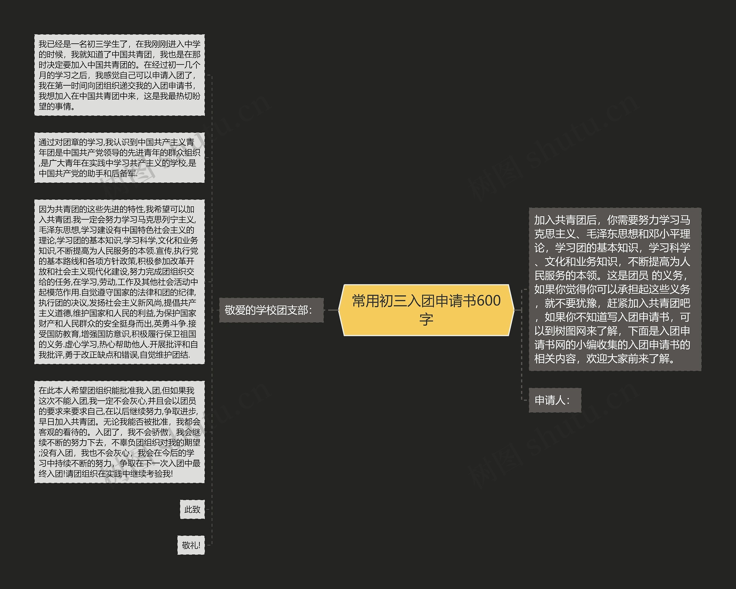 常用初三入团申请书600字