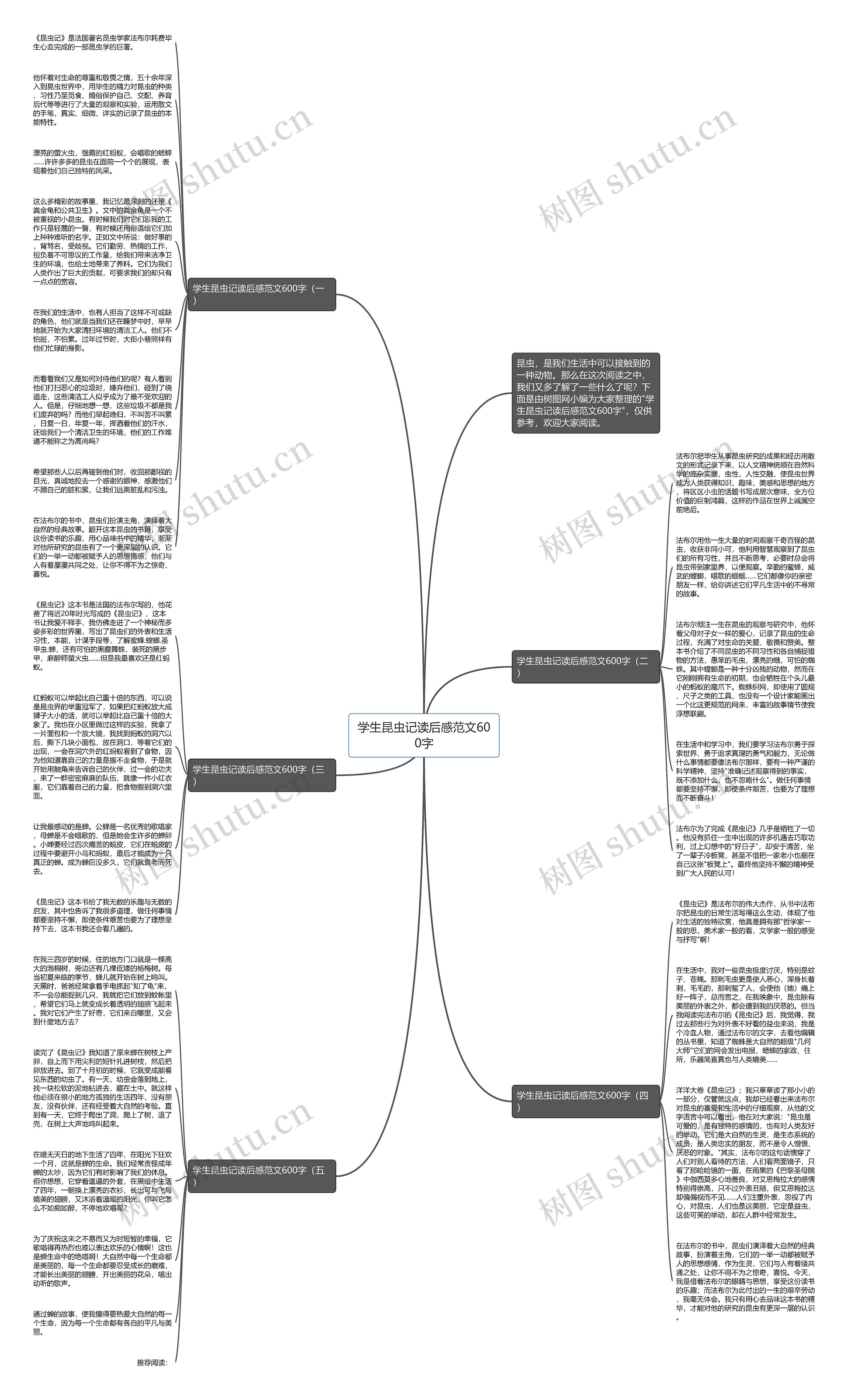 学生昆虫记读后感范文600字思维导图