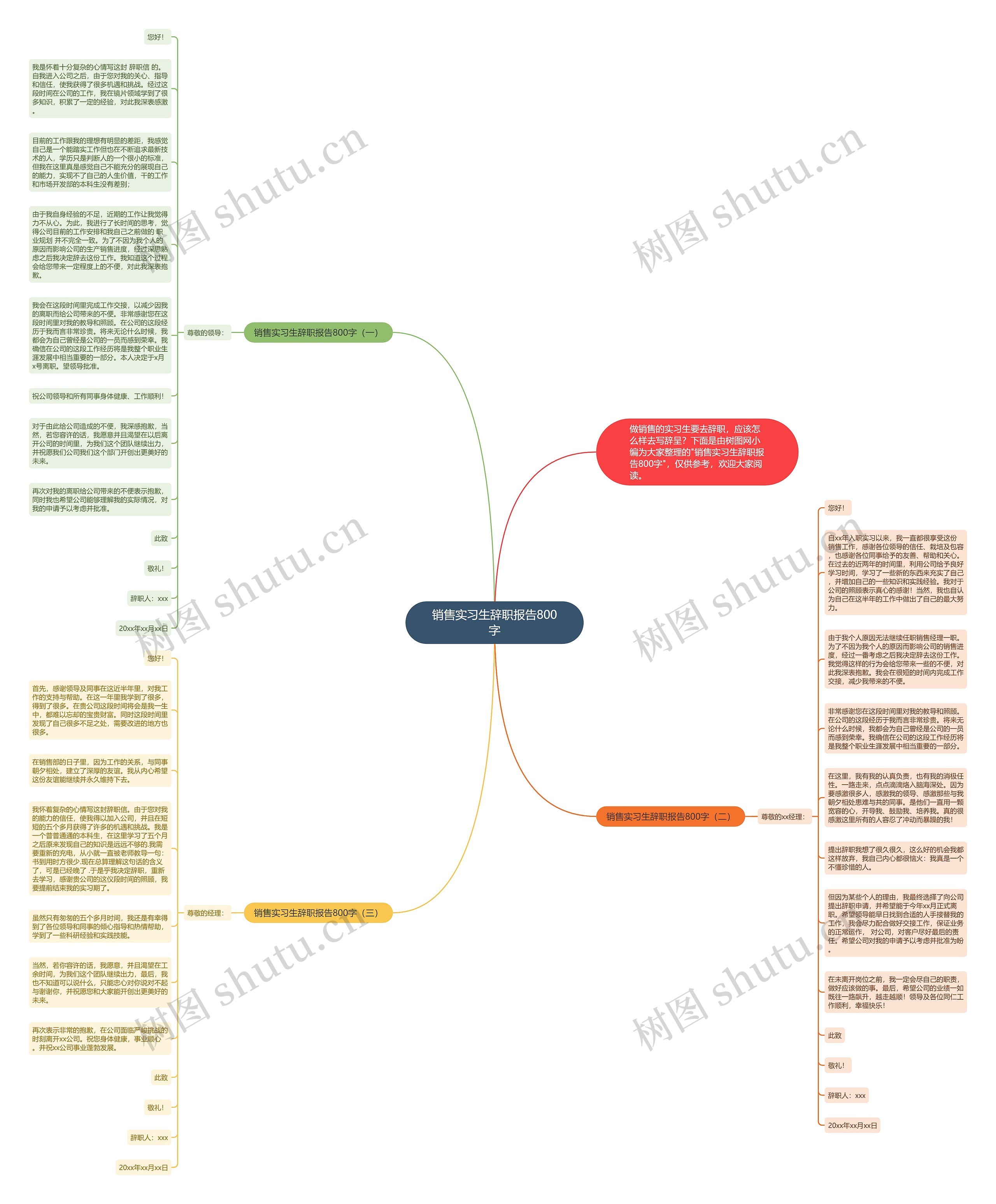 销售实习生辞职报告800字思维导图