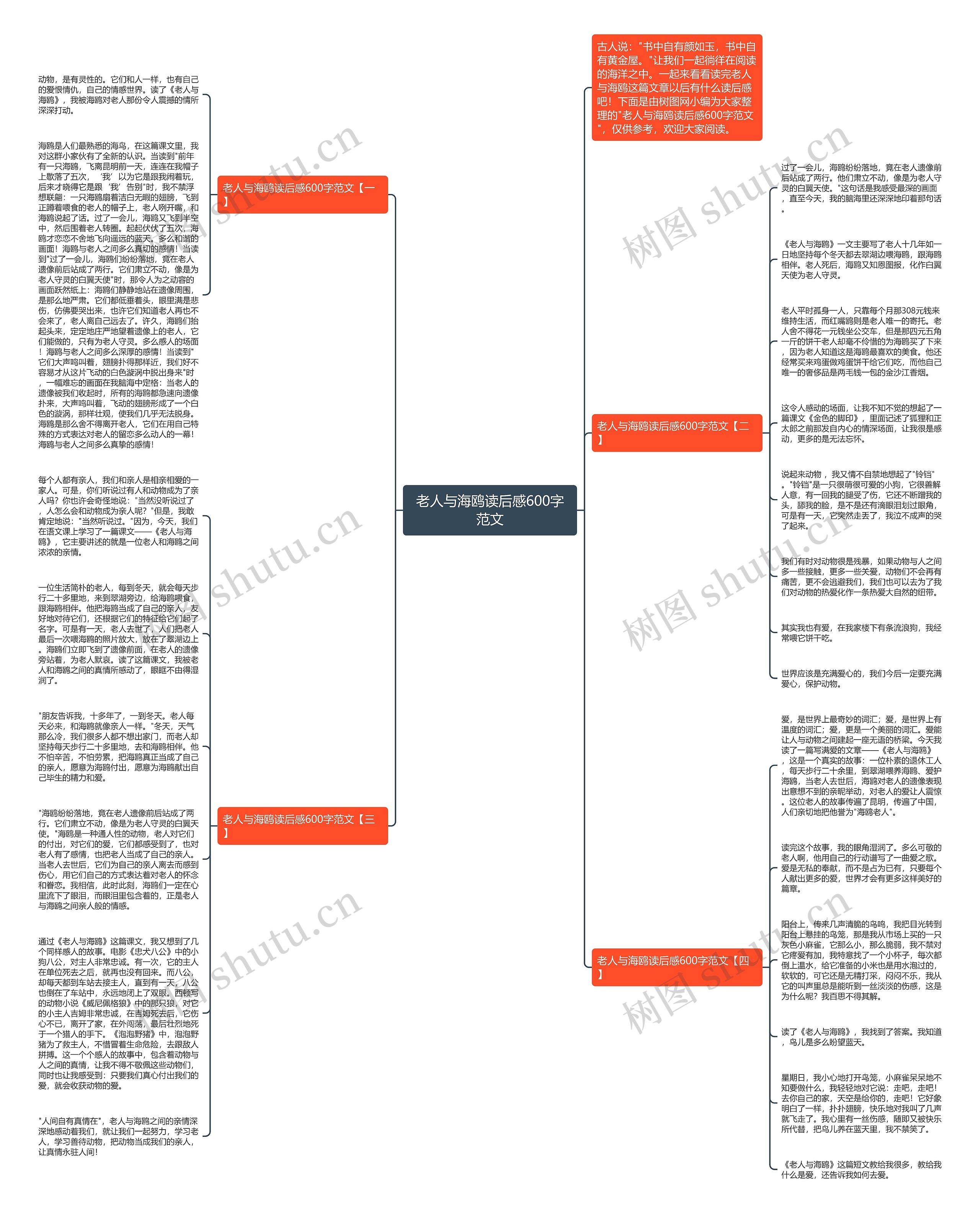 老人与海鸥读后感600字范文思维导图