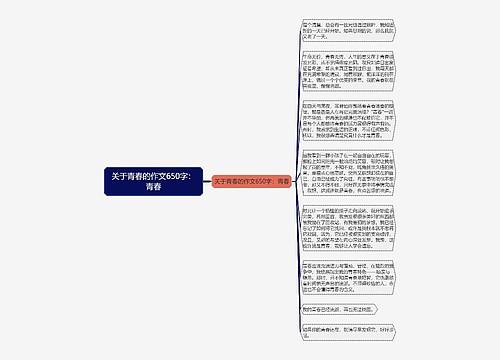 关于青春的作文650字：青春