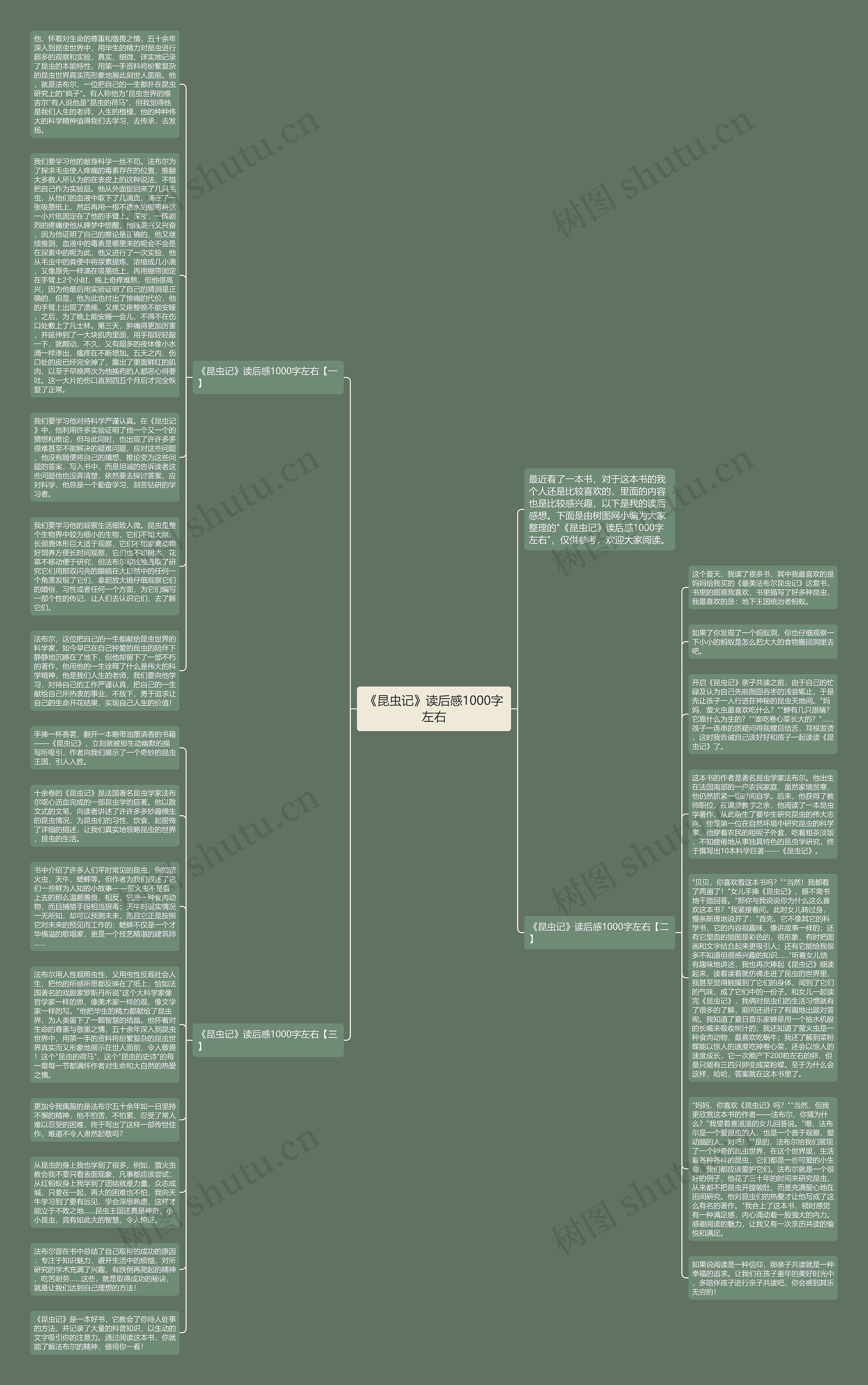 《昆虫记》读后感1000字左右思维导图高清图 《昆虫记》读后感1000字左右思维导图