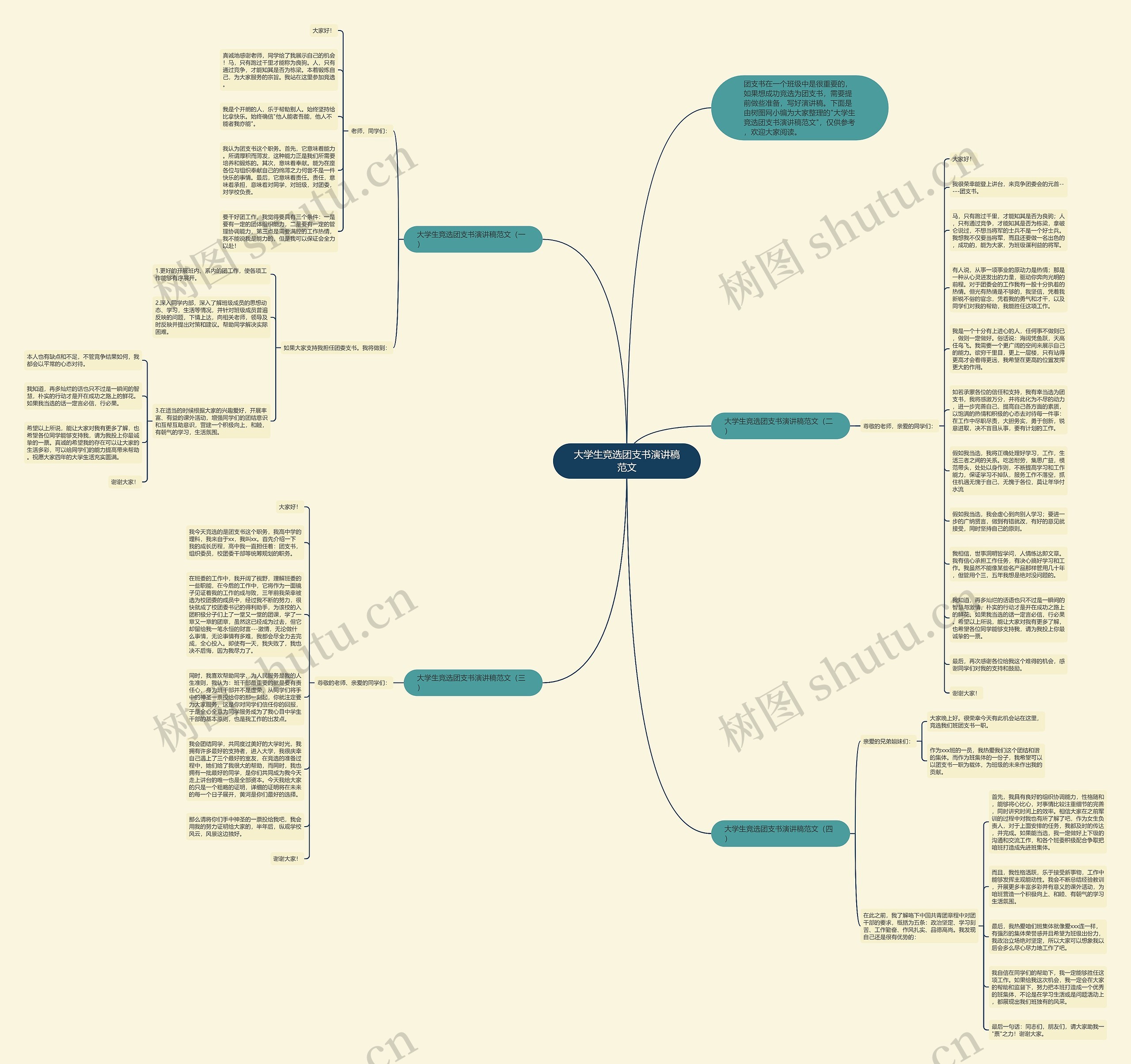 大学生竞选团支书演讲稿范文思维导图