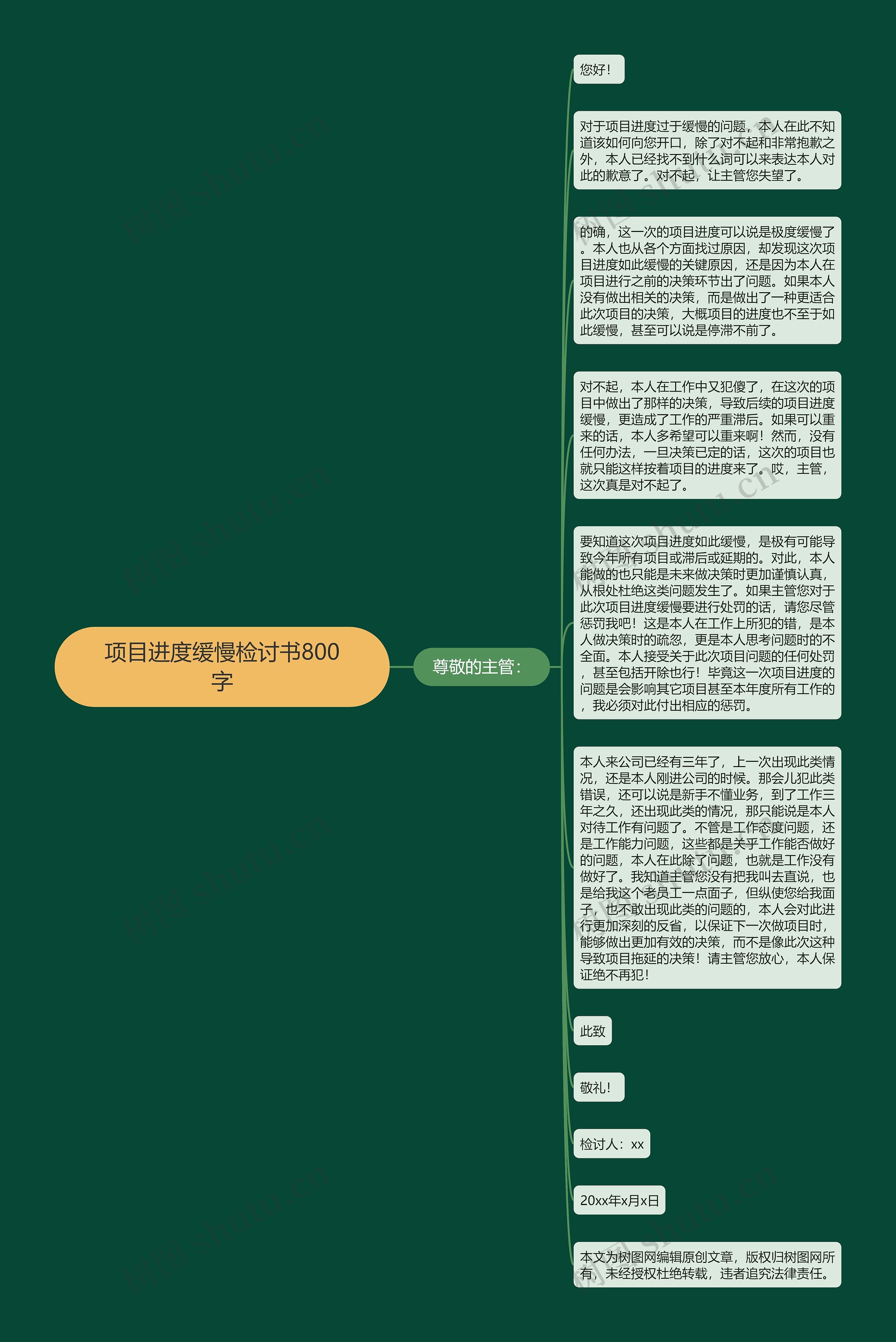 项目进度缓慢检讨书800字