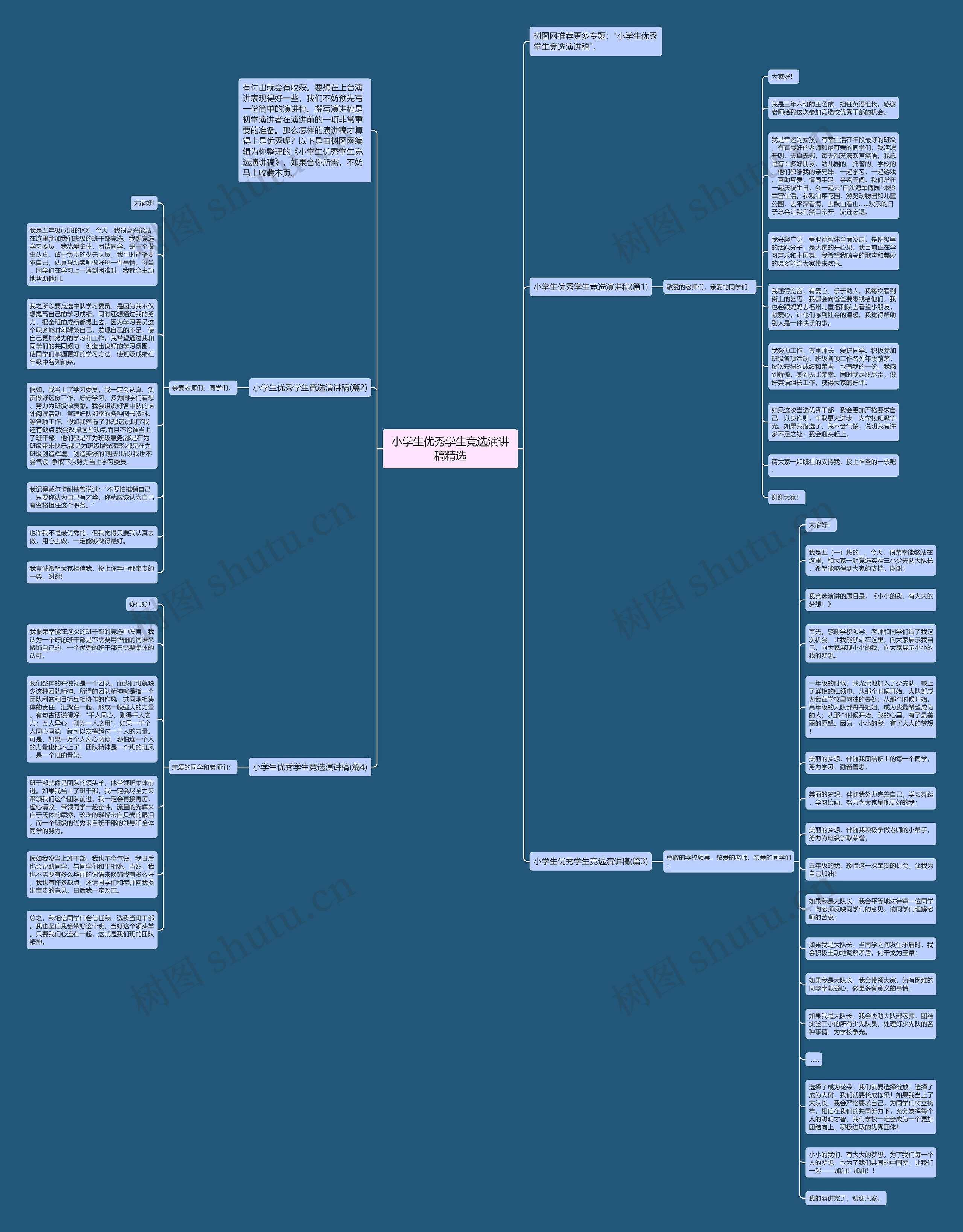小学生优秀学生竞选演讲稿精选思维导图