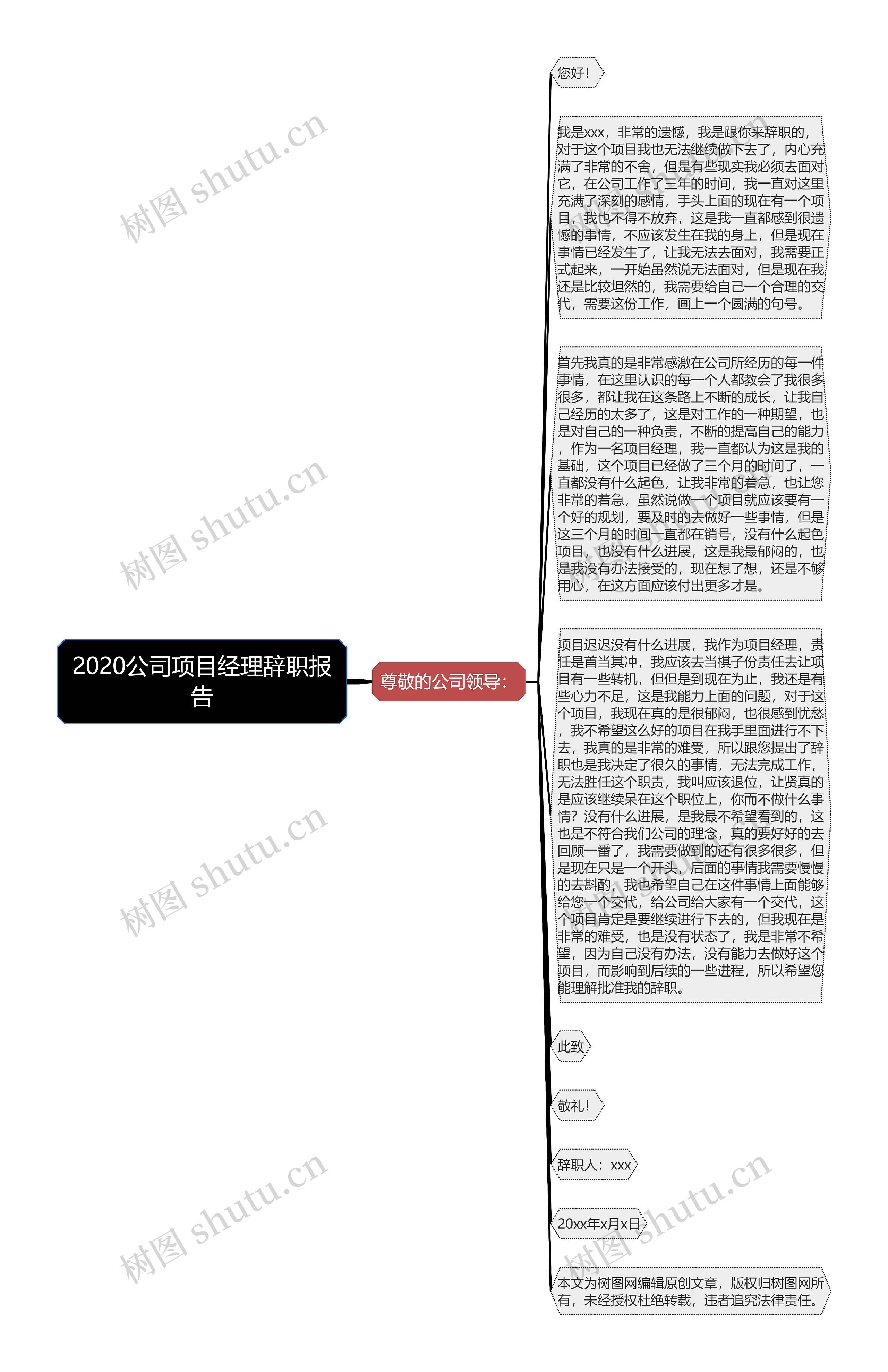 2020公司项目经理辞职报告思维导图