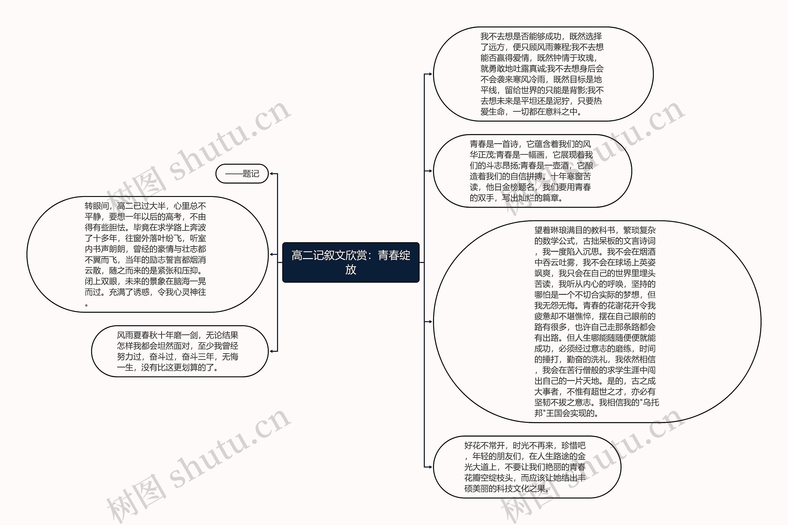 高二记叙文欣赏：青春绽放思维导图