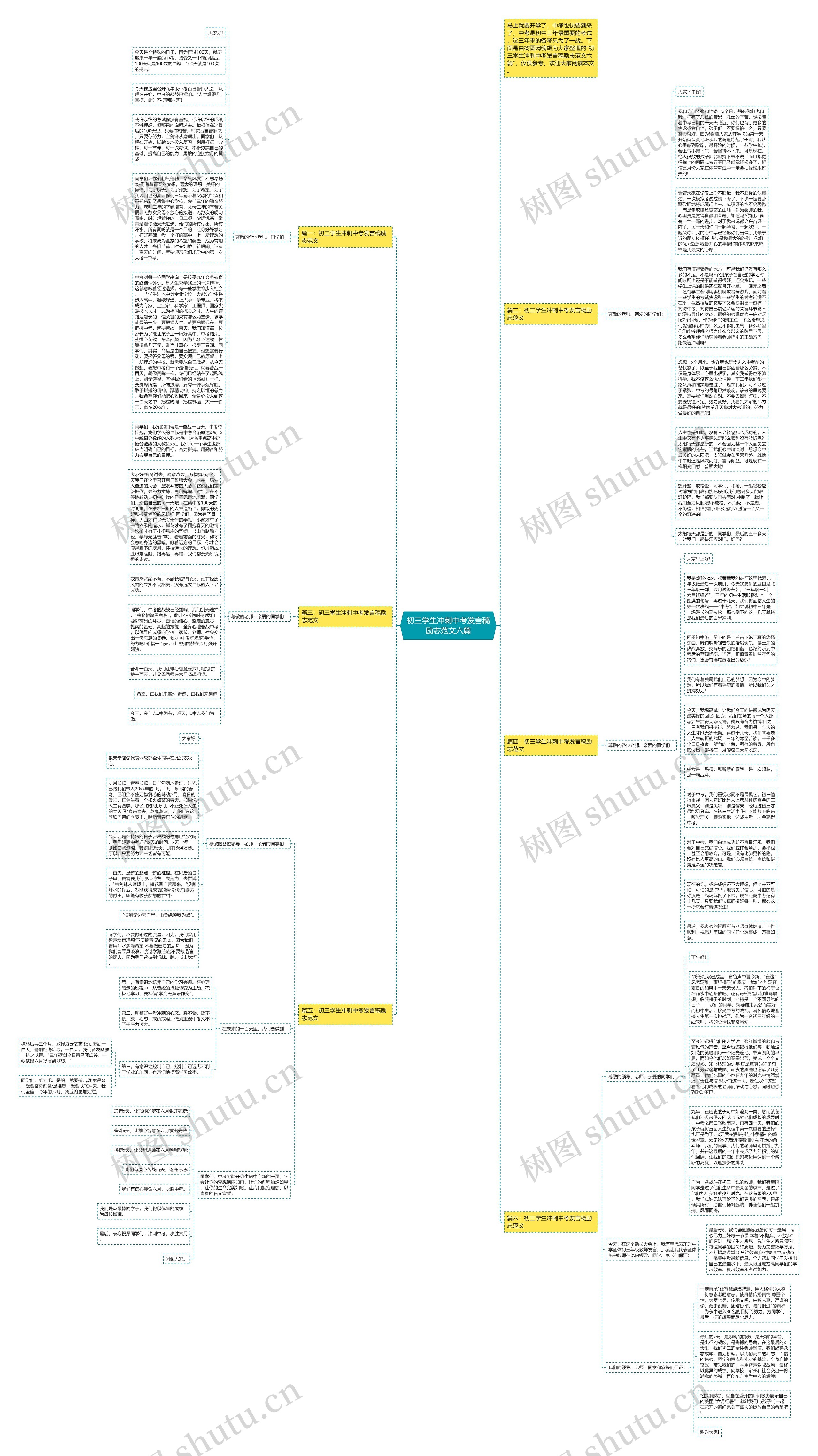 初三学生冲刺中考发言稿励志范文六篇思维导图