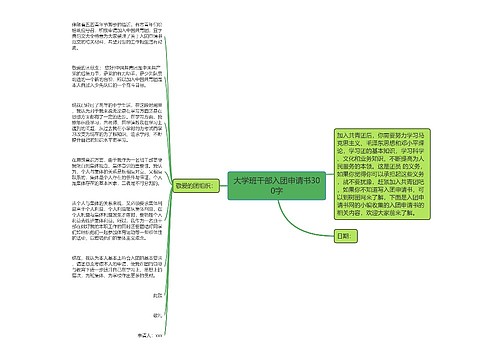 大学班干部入团申请书300字