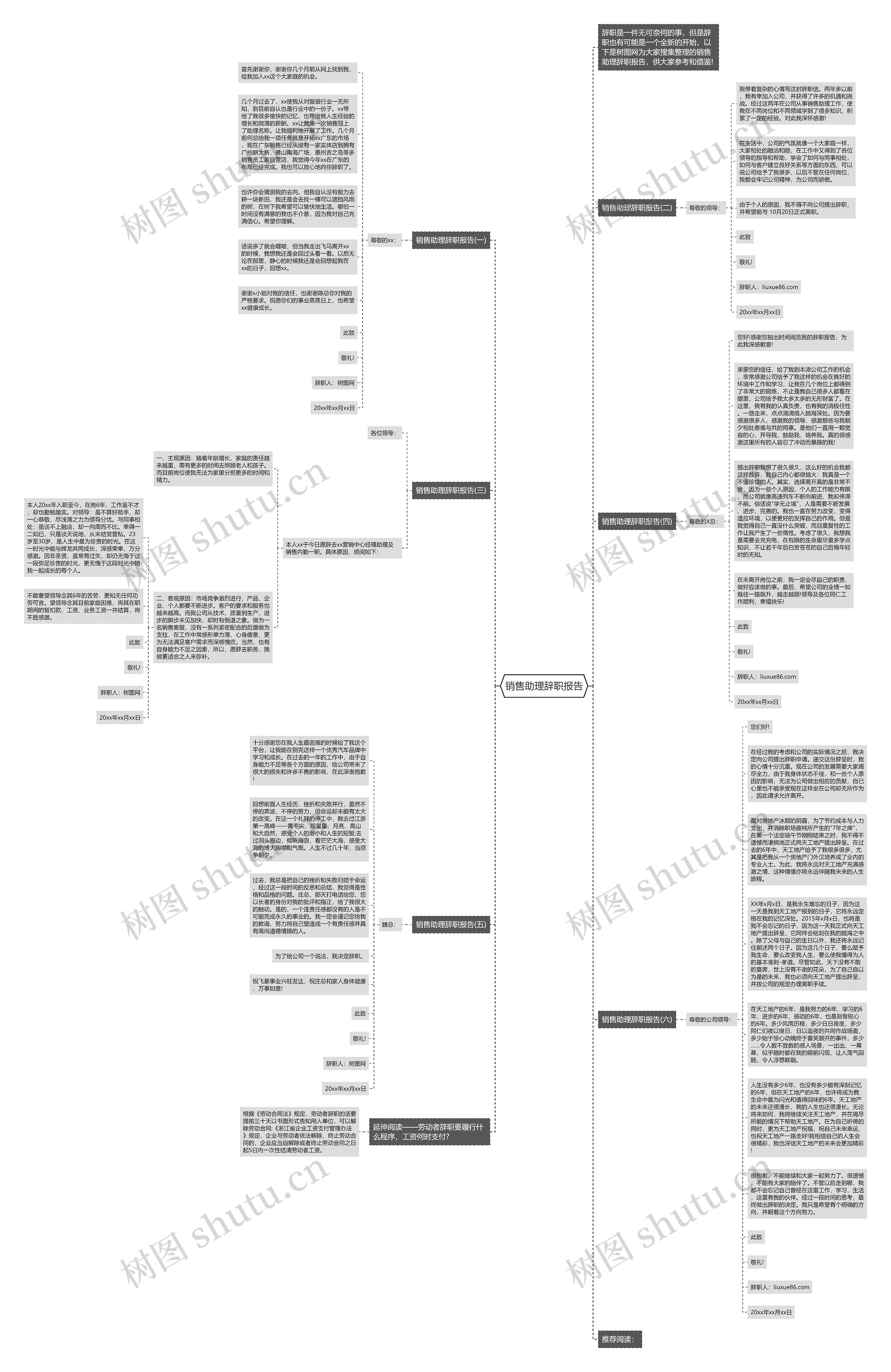 销售助理辞职报告思维导图