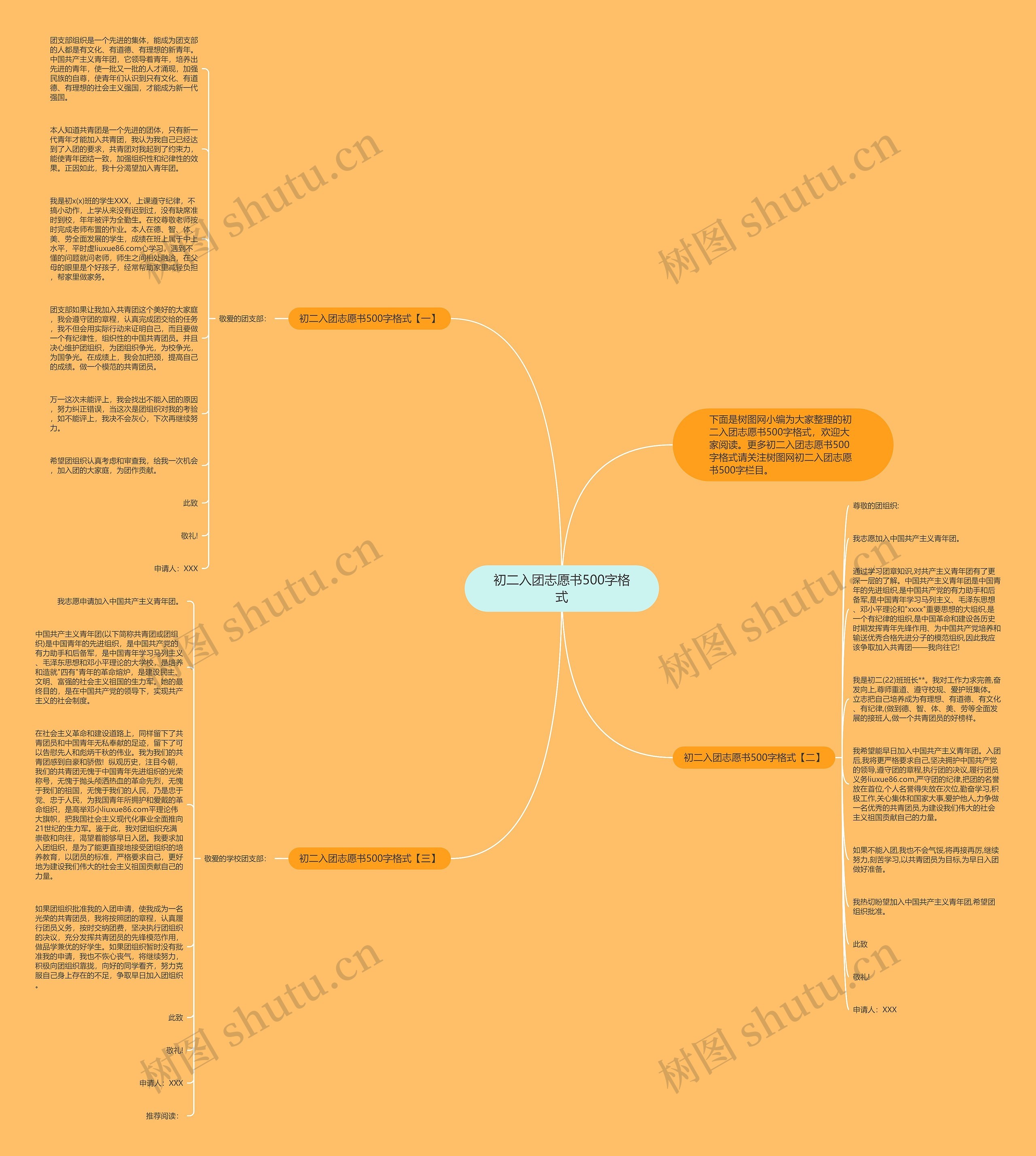 初二入团志愿书500字格式