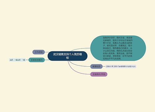 武汉销售支持个人简历模板