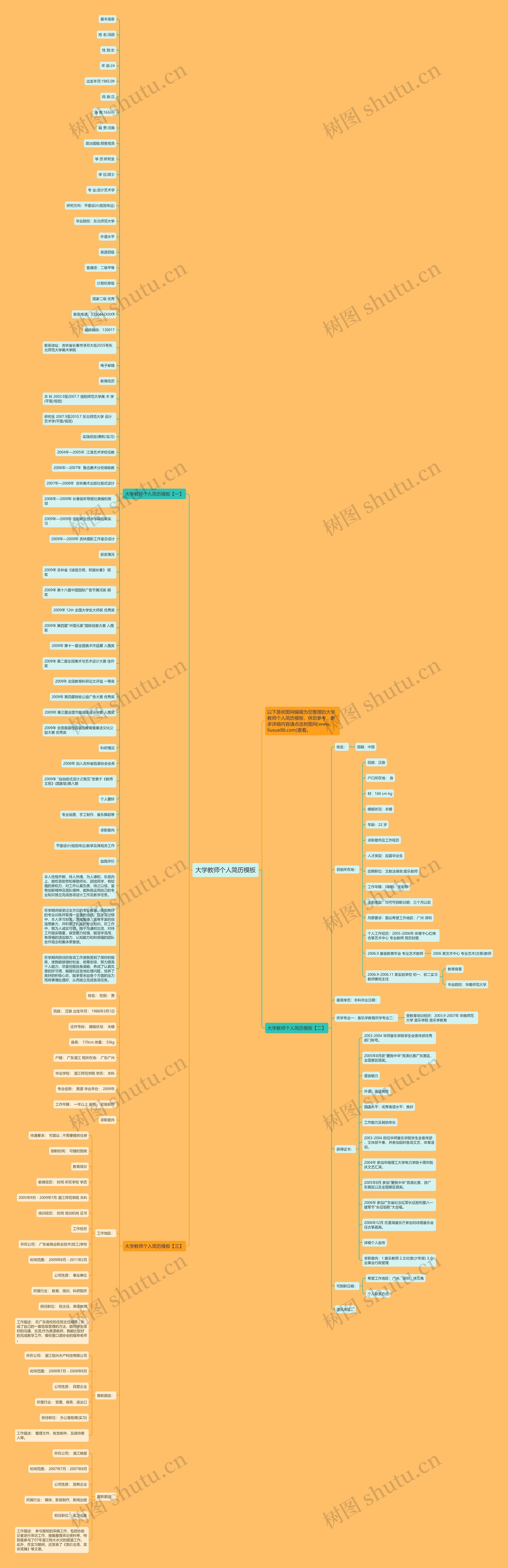 大学教师个人简历思维导图