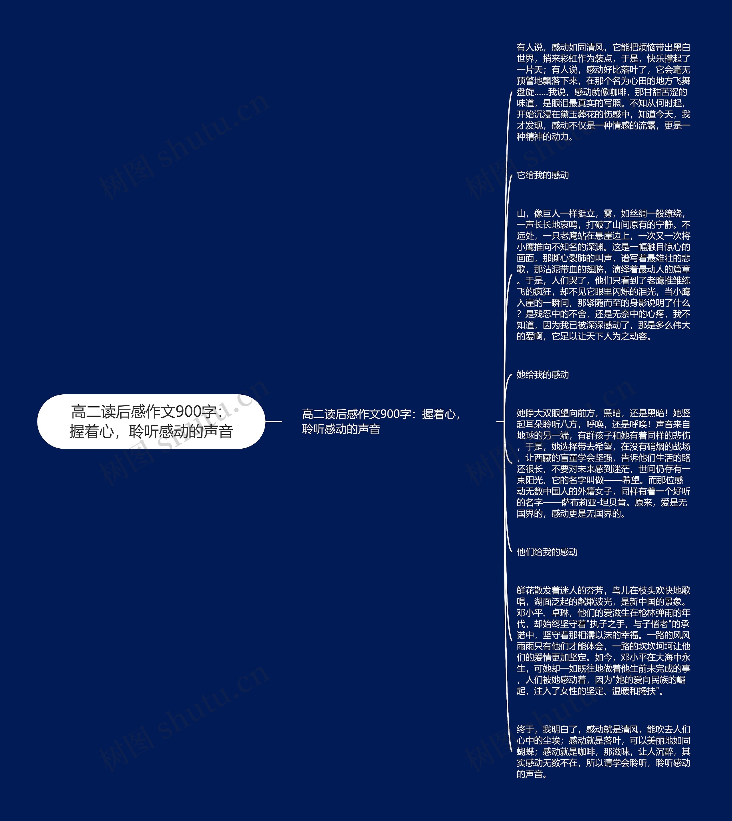 高二读后感作文900字：握着心，聆听感动的声音