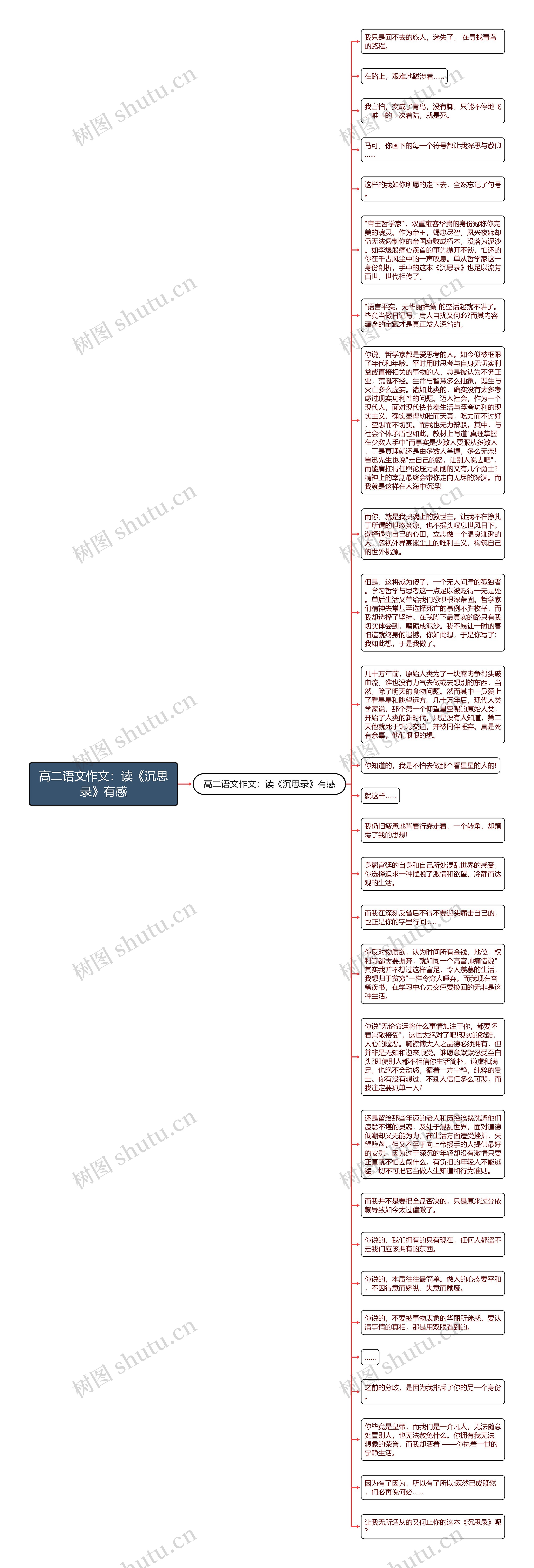 高二语文作文：读《沉思录》有感思维导图