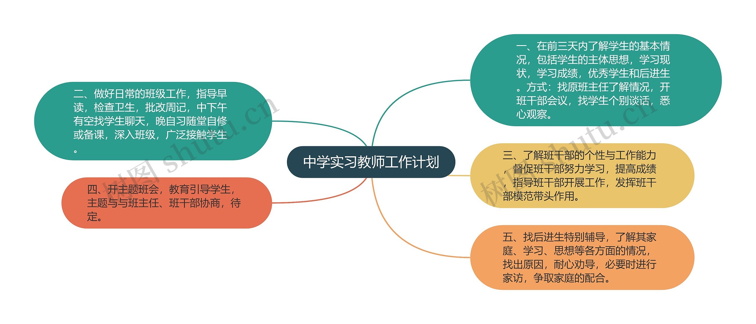 中学实习教师工作计划