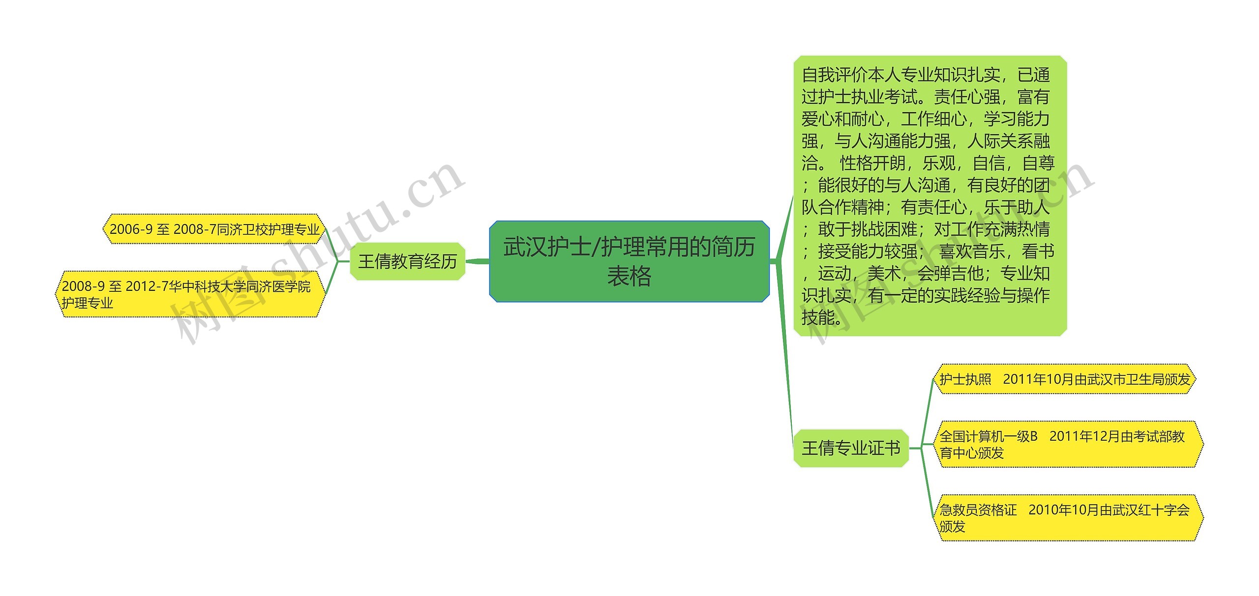 武汉护士/护理常用的简历表格