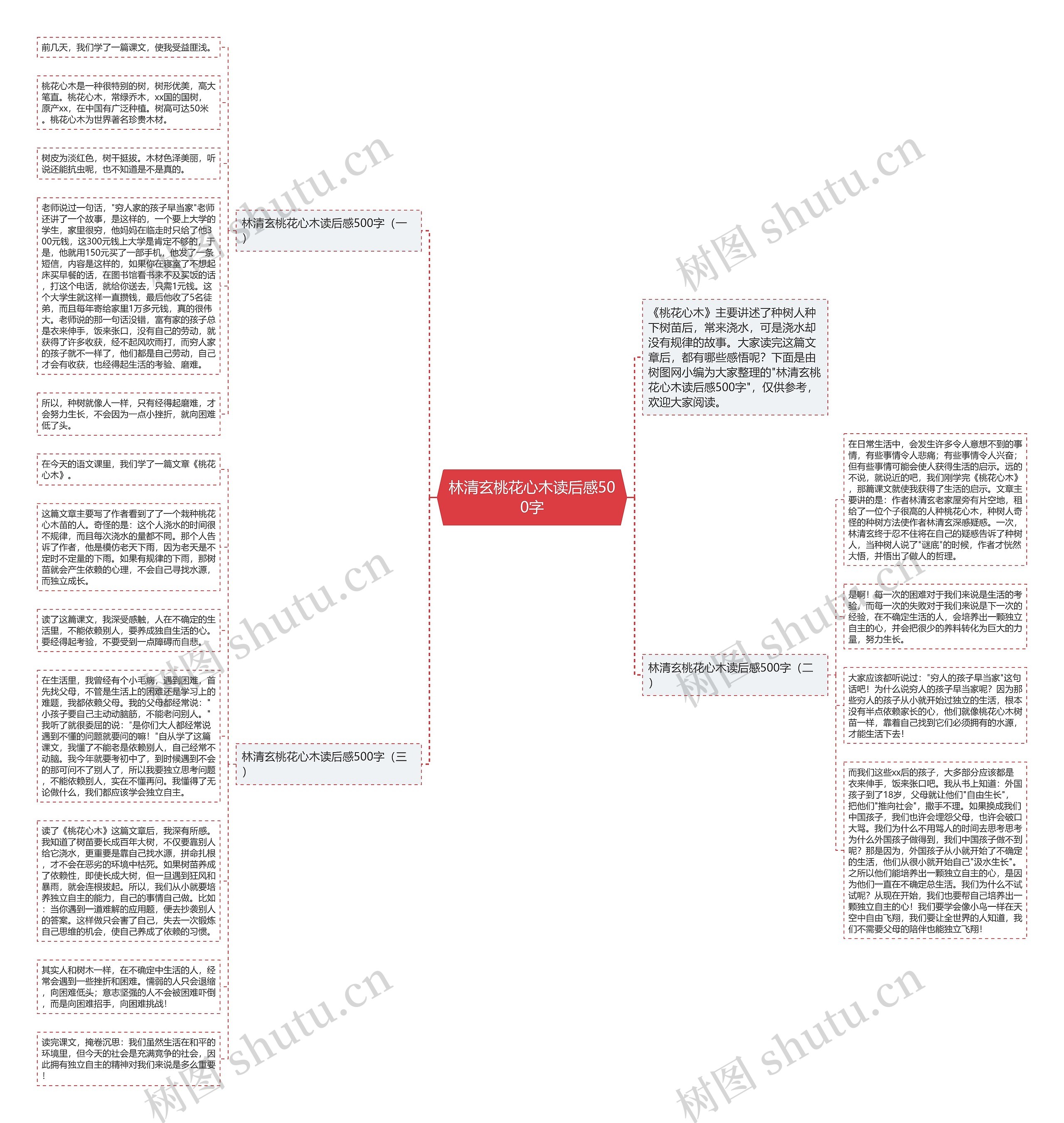 林清玄桃花心木读后感500字