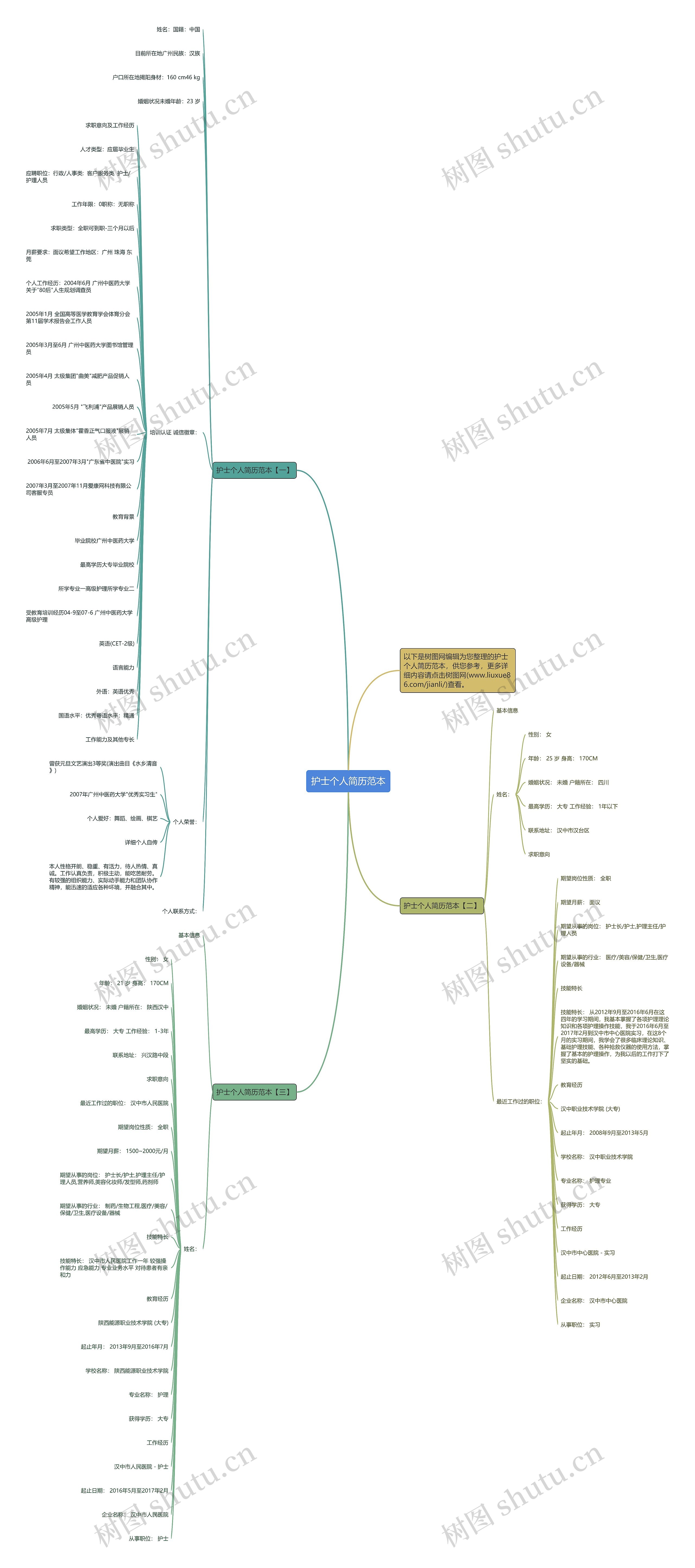 护士个人简历范本思维导图