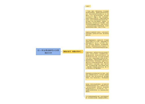 初一学生竞选副班长发言稿800字